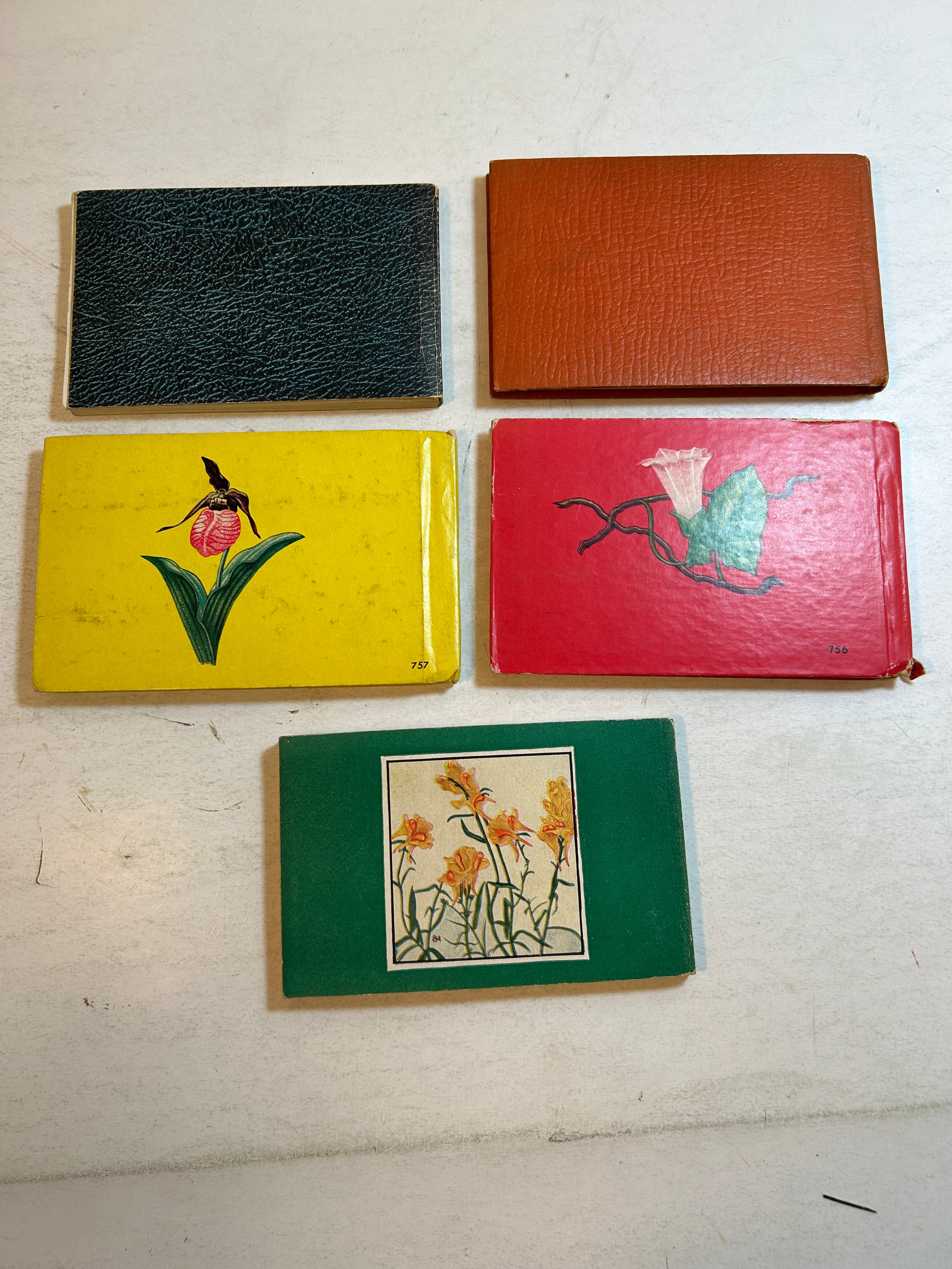 Lot of 5: Mini Guidebooks to Wildflowers and Birds 1931-45