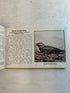 Lot of 5: Mini Guidebooks to Wildflowers and Birds 1931-45