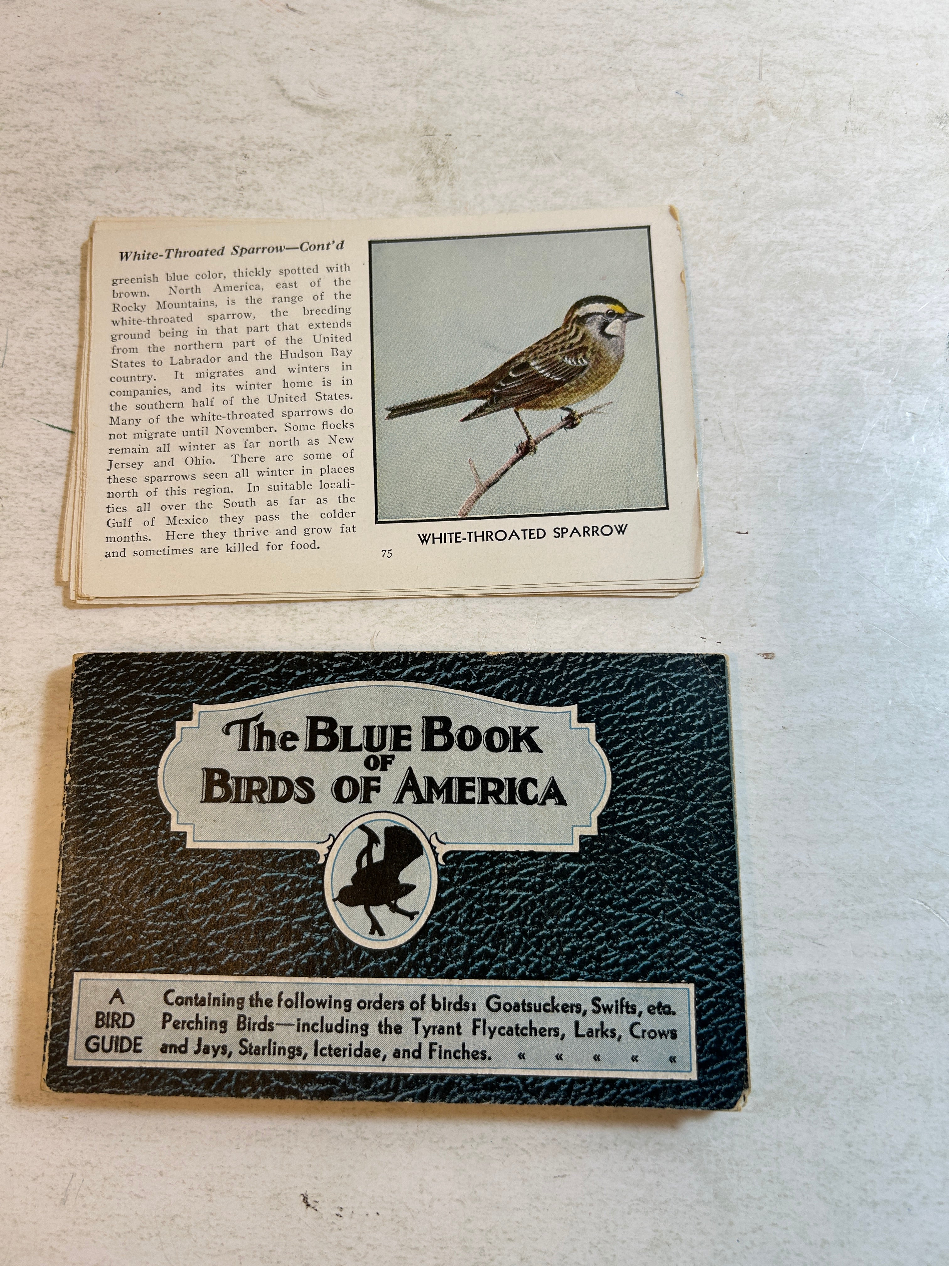Lot of 5: Mini Guidebooks to Wildflowers and Birds 1931-45