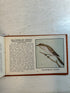 Lot of 5: Mini Guidebooks to Wildflowers and Birds 1931-45