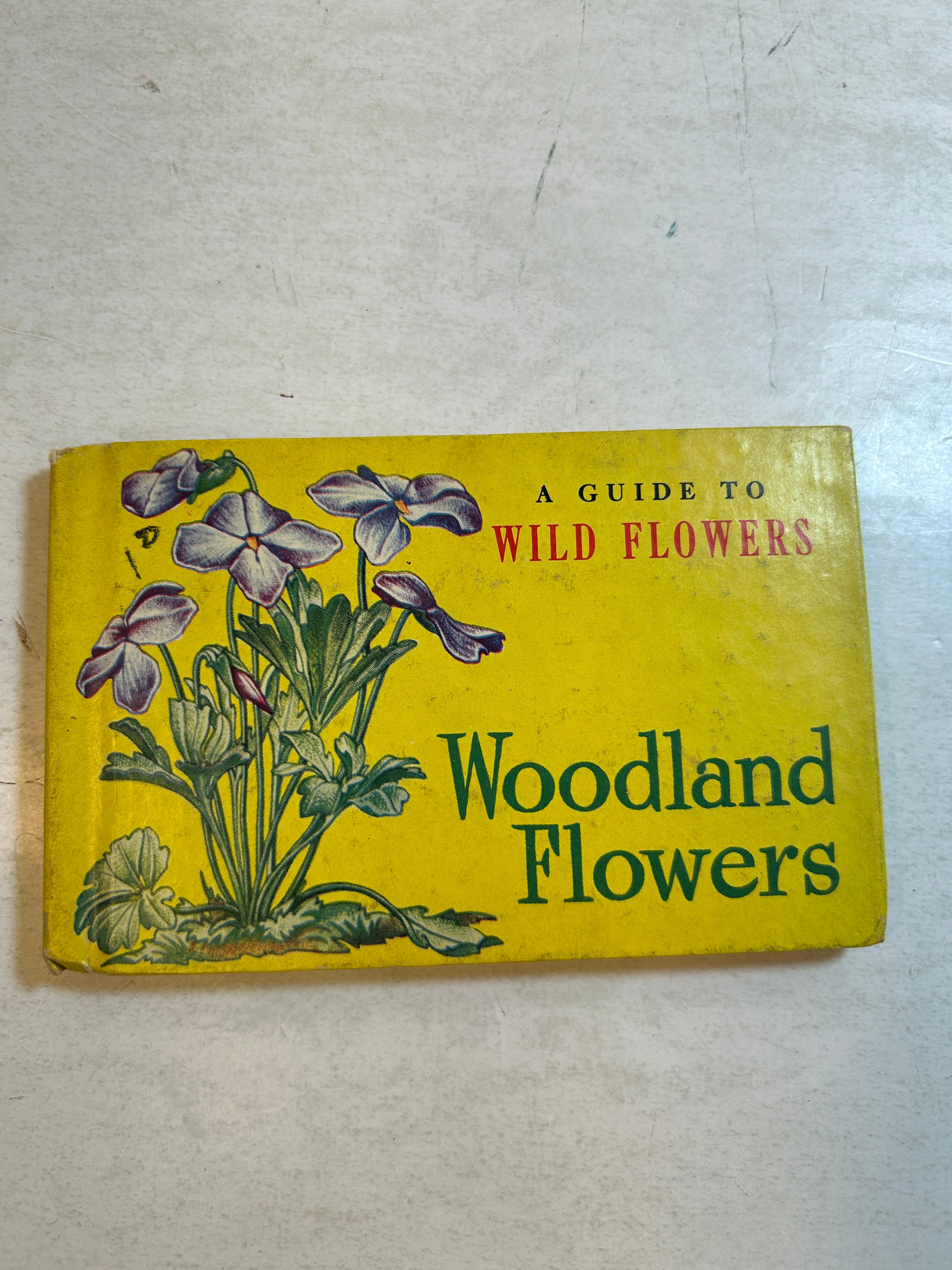 Lot of 5: Mini Guidebooks to Wildflowers and Birds 1931-45