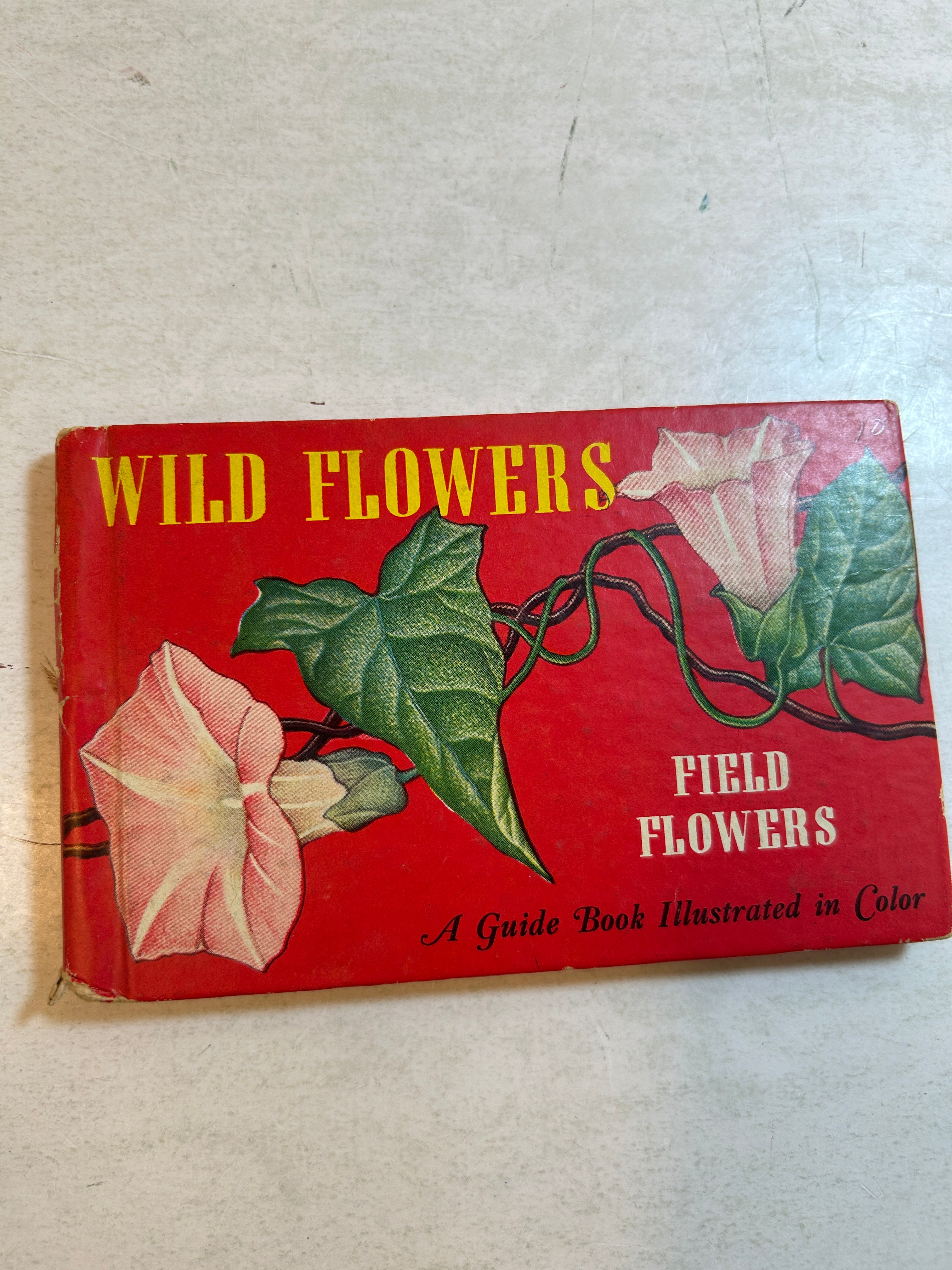 Lot of 5: Mini Guidebooks to Wildflowers and Birds 1931-45