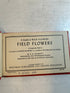 Lot of 5: Mini Guidebooks to Wildflowers and Birds 1931-45