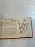 Lot of 5: Mini Guidebooks to Wildflowers and Birds 1931-45