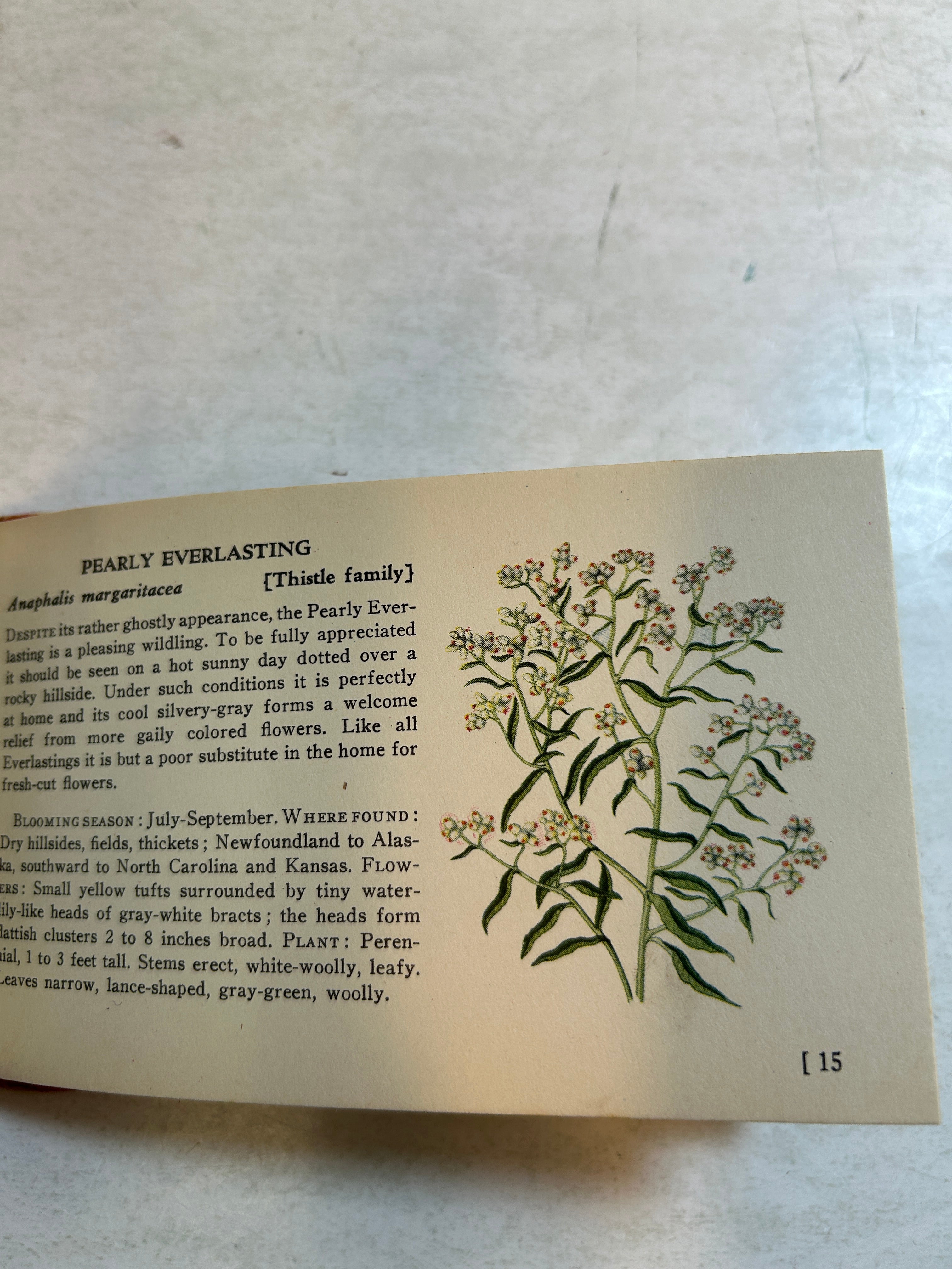 Lot of 5: Mini Guidebooks to Wildflowers and Birds 1931-45