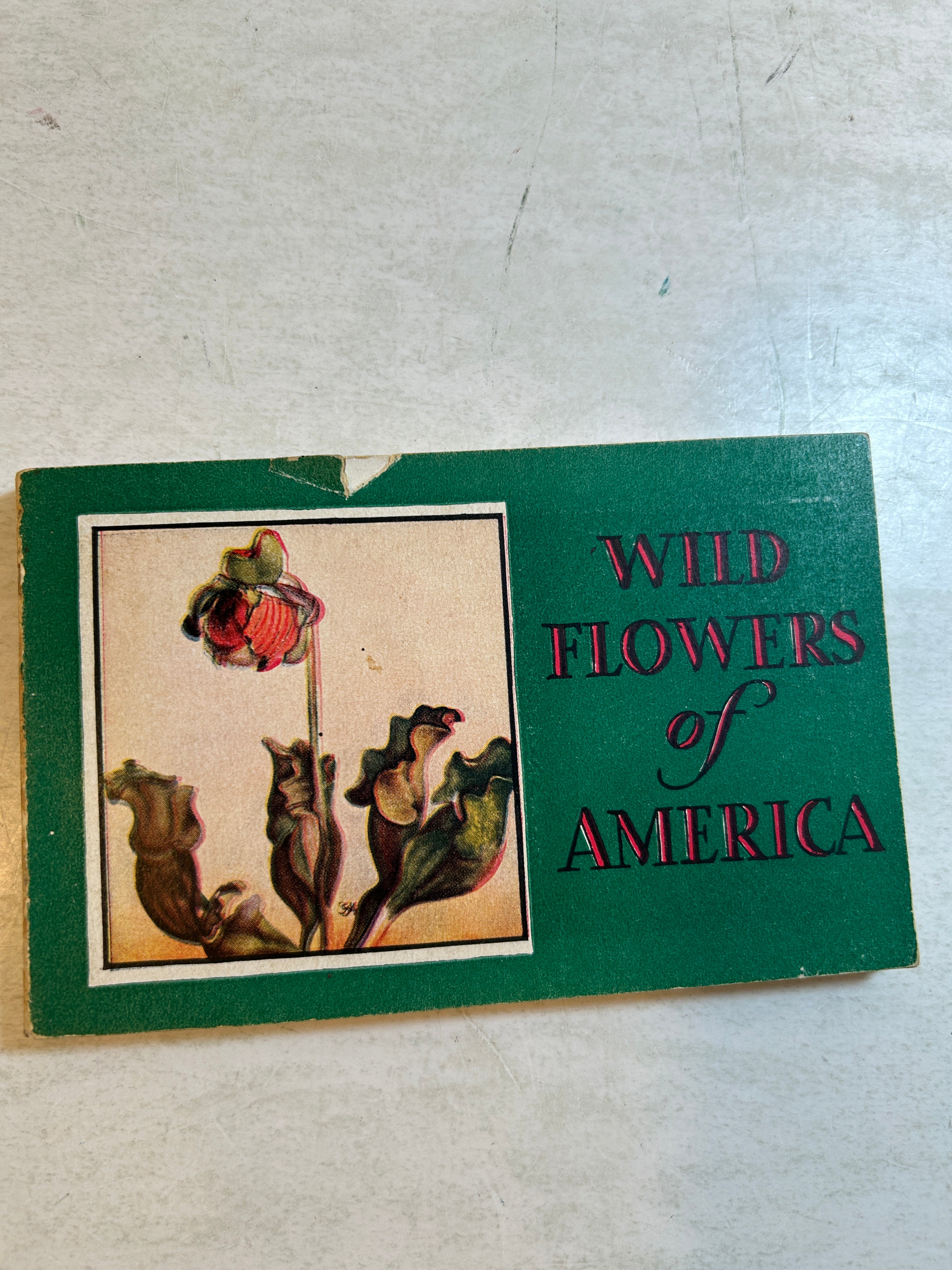 Lot of 5: Mini Guidebooks to Wildflowers and Birds 1931-45