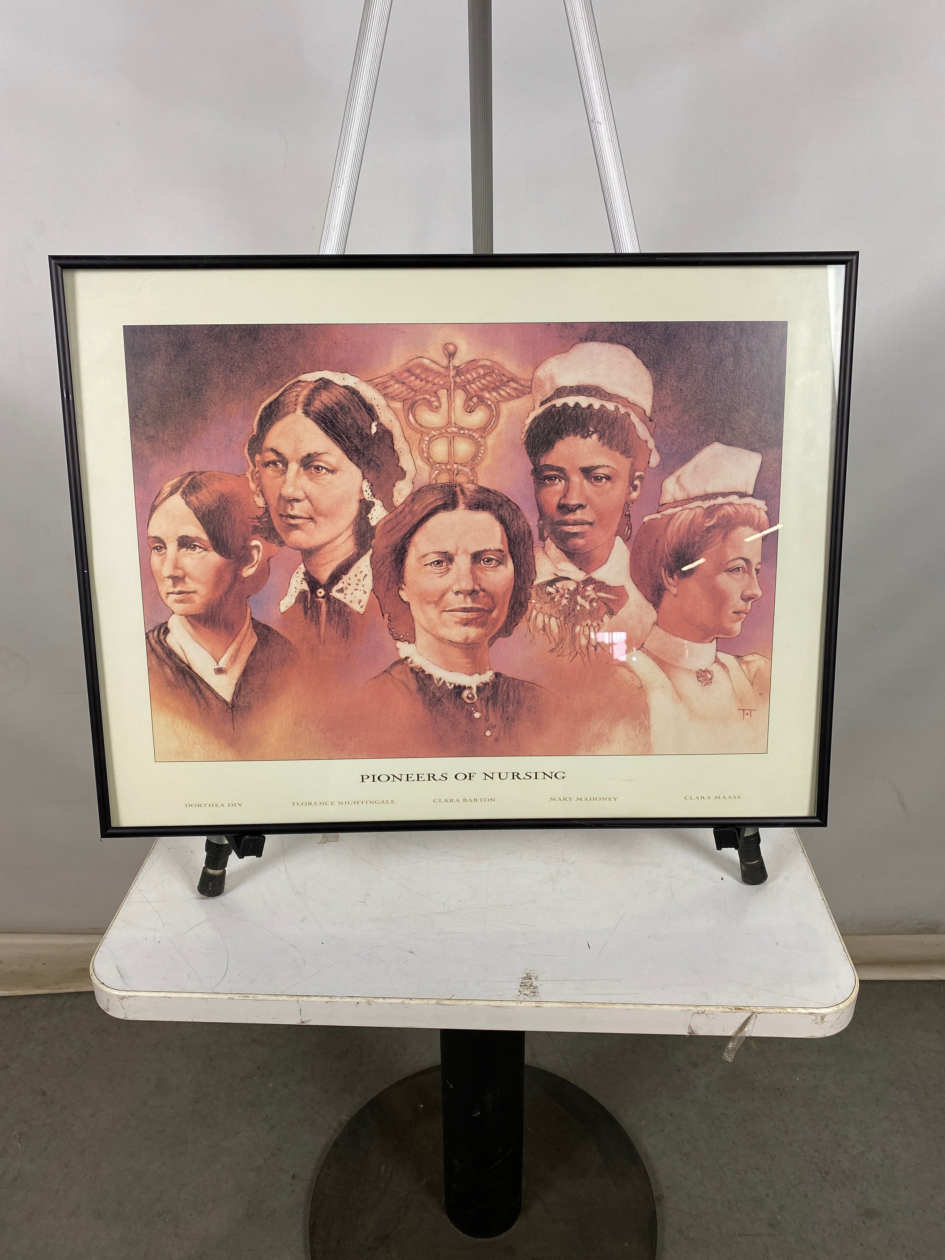 'Pioneers of Nursing' Framed Print