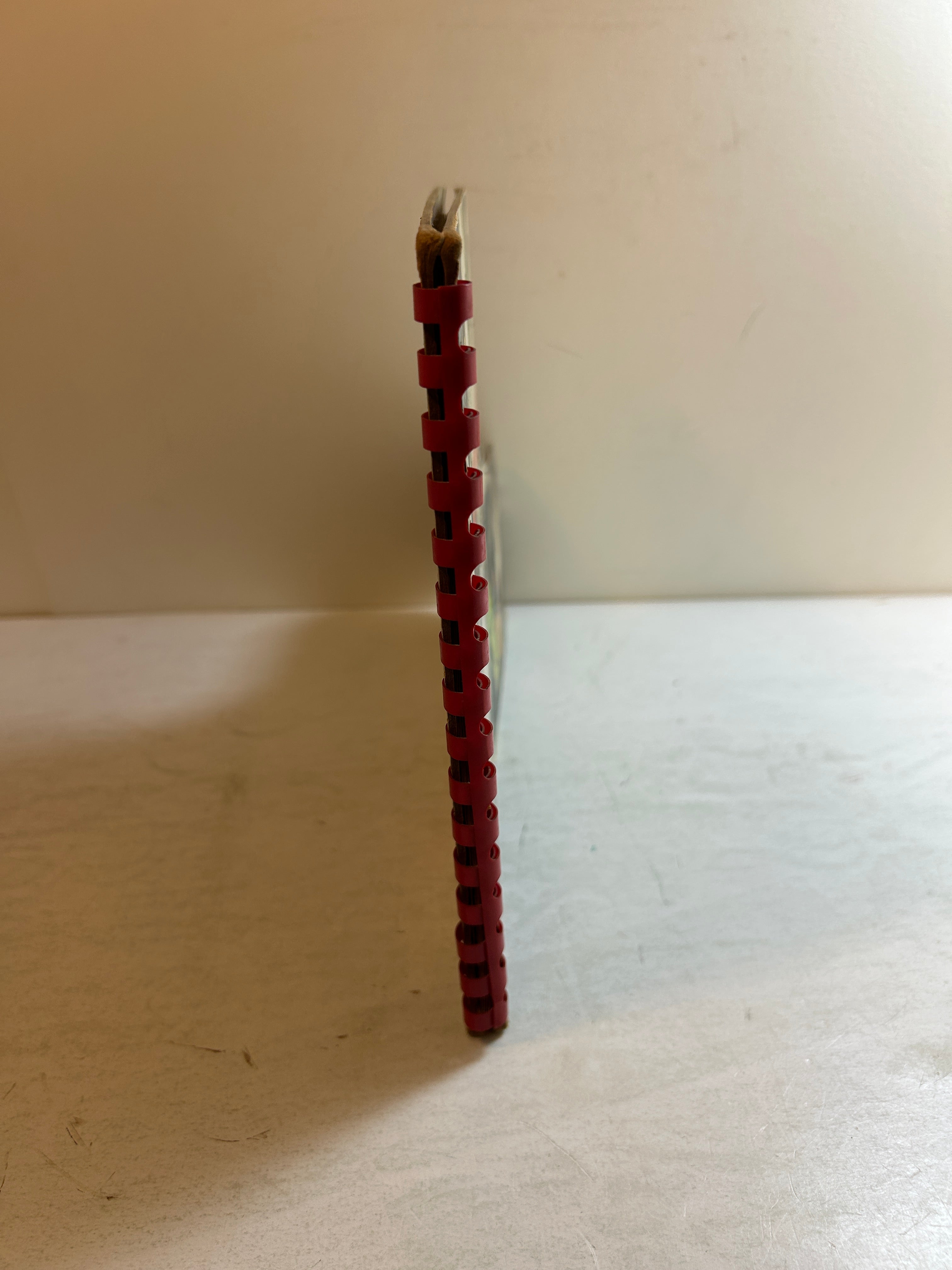 The Shoe Mother Goose Pictures by Dirk Spiral Bound 1951