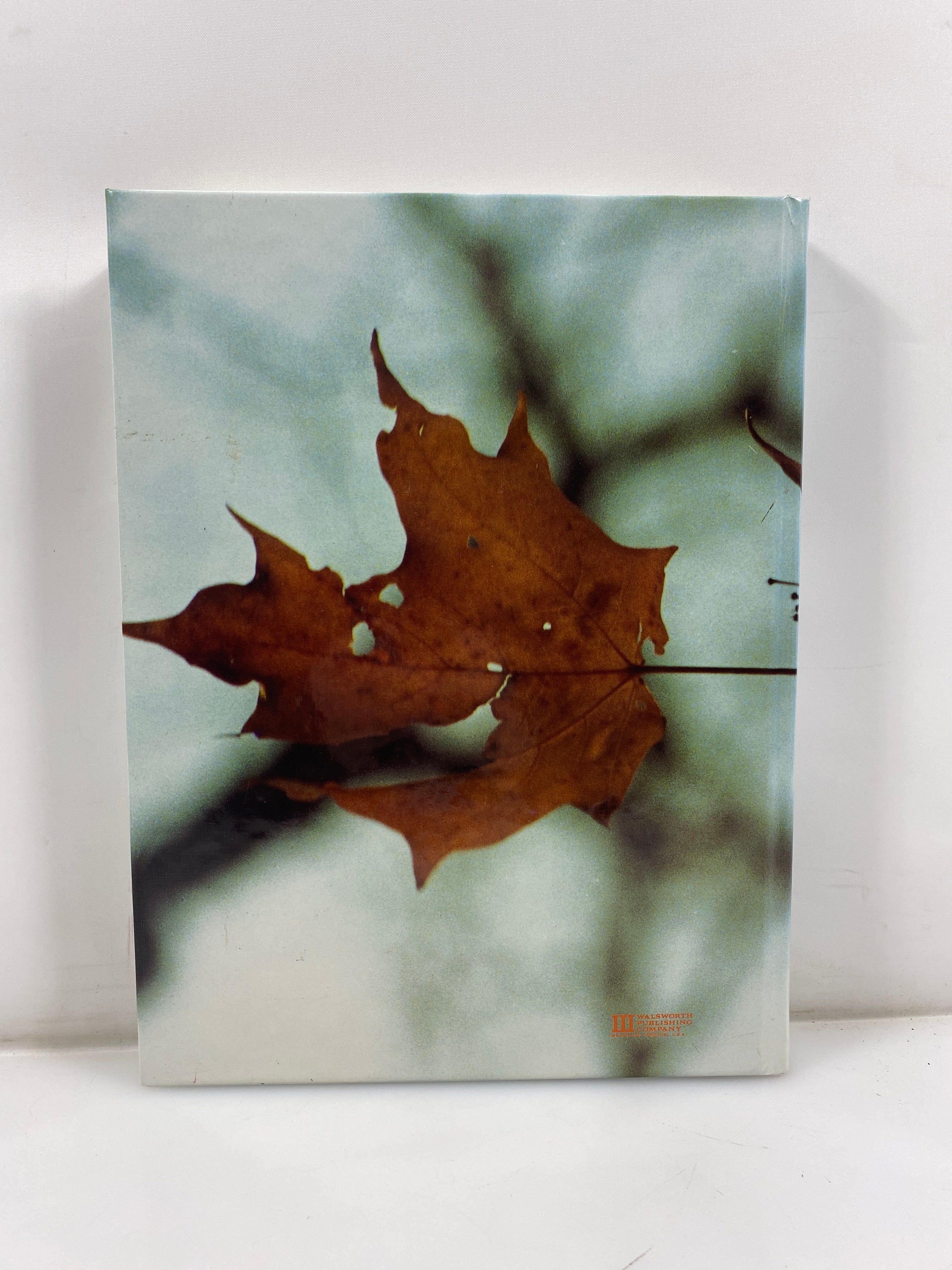 1989 Michigan Technological University Yearbook "Keweenawan" HC