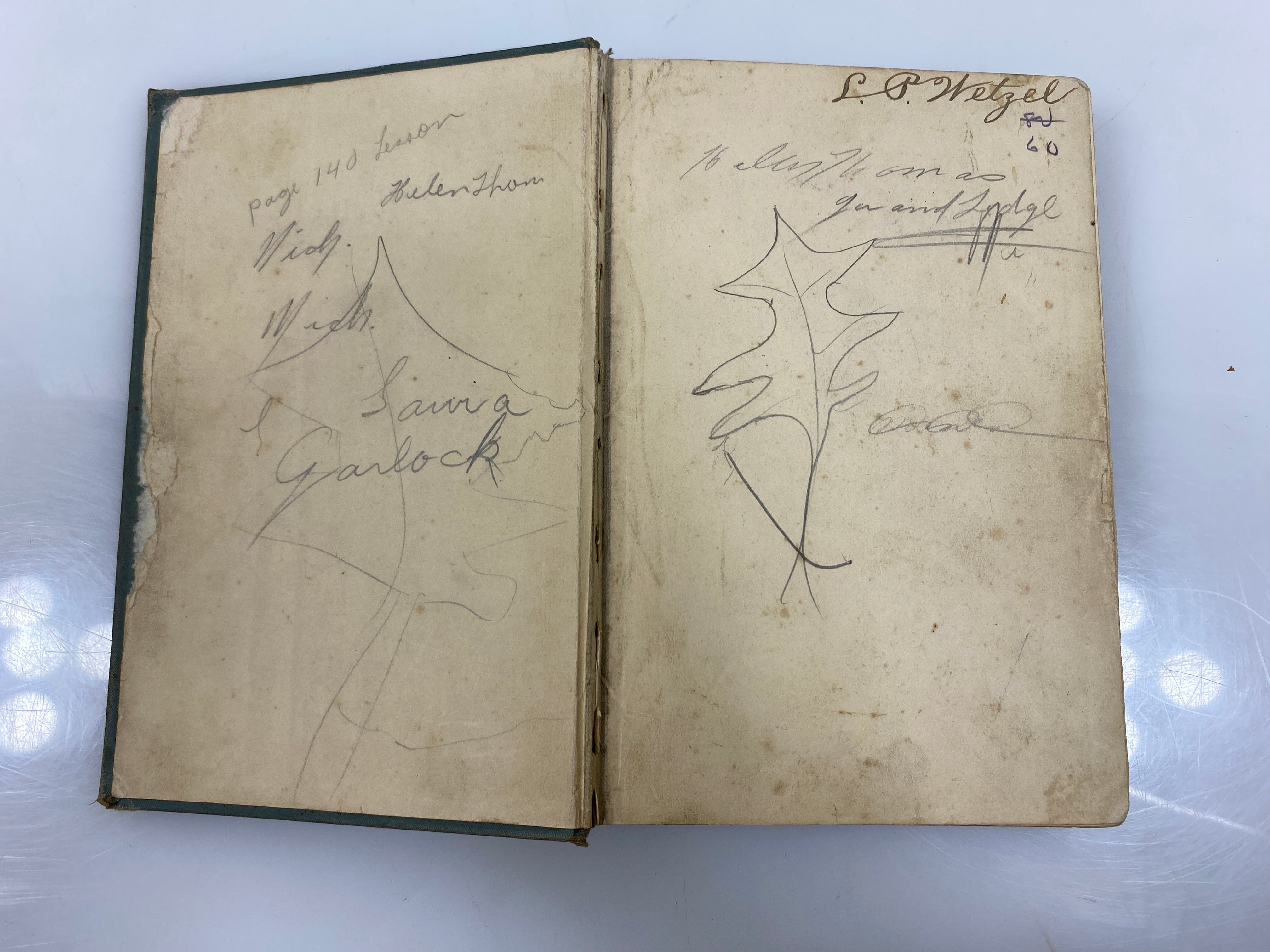 Applied Physiology by Frank Overton 1897 HC