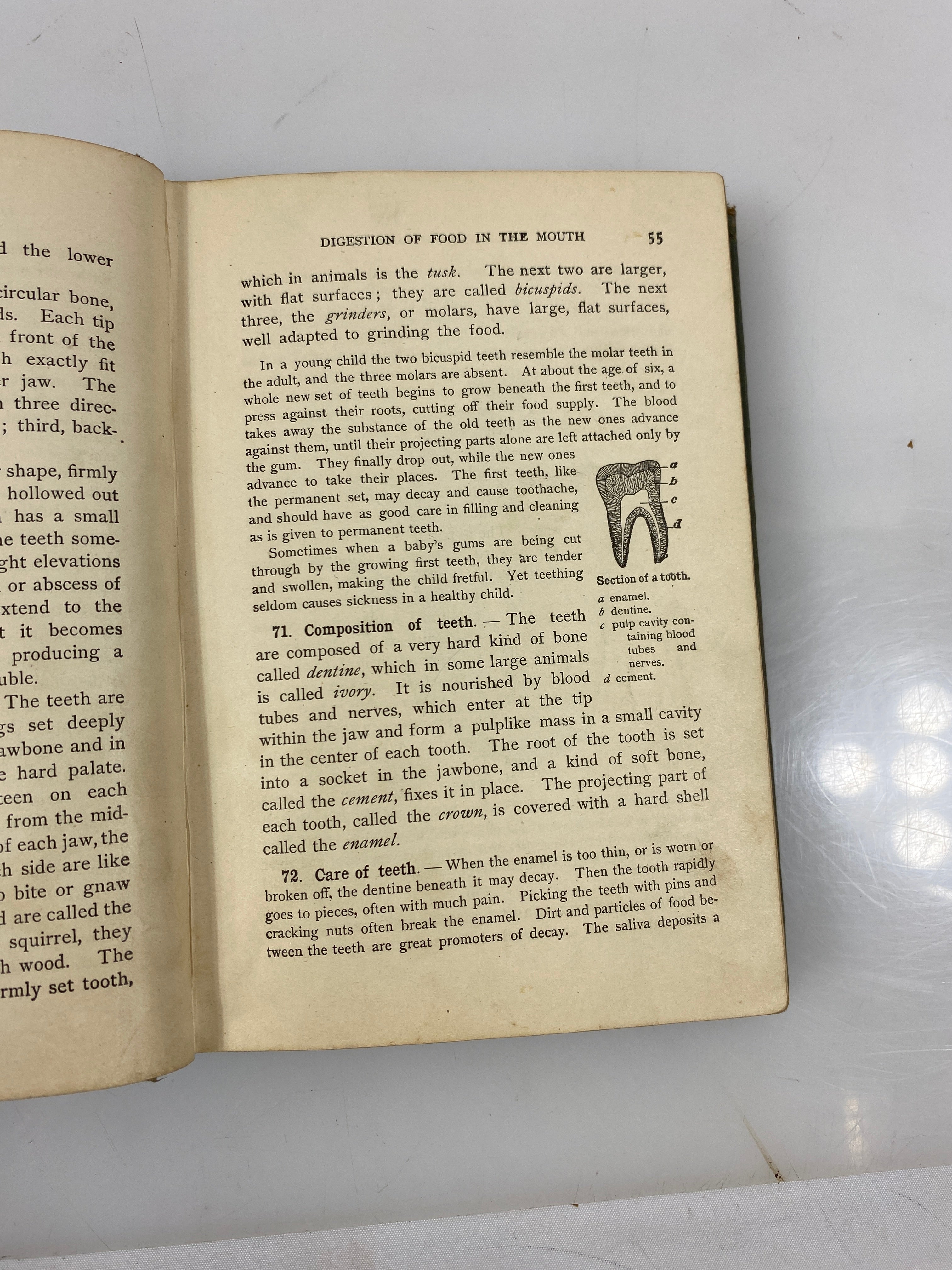 Applied Physiology by Frank Overton 1897 HC