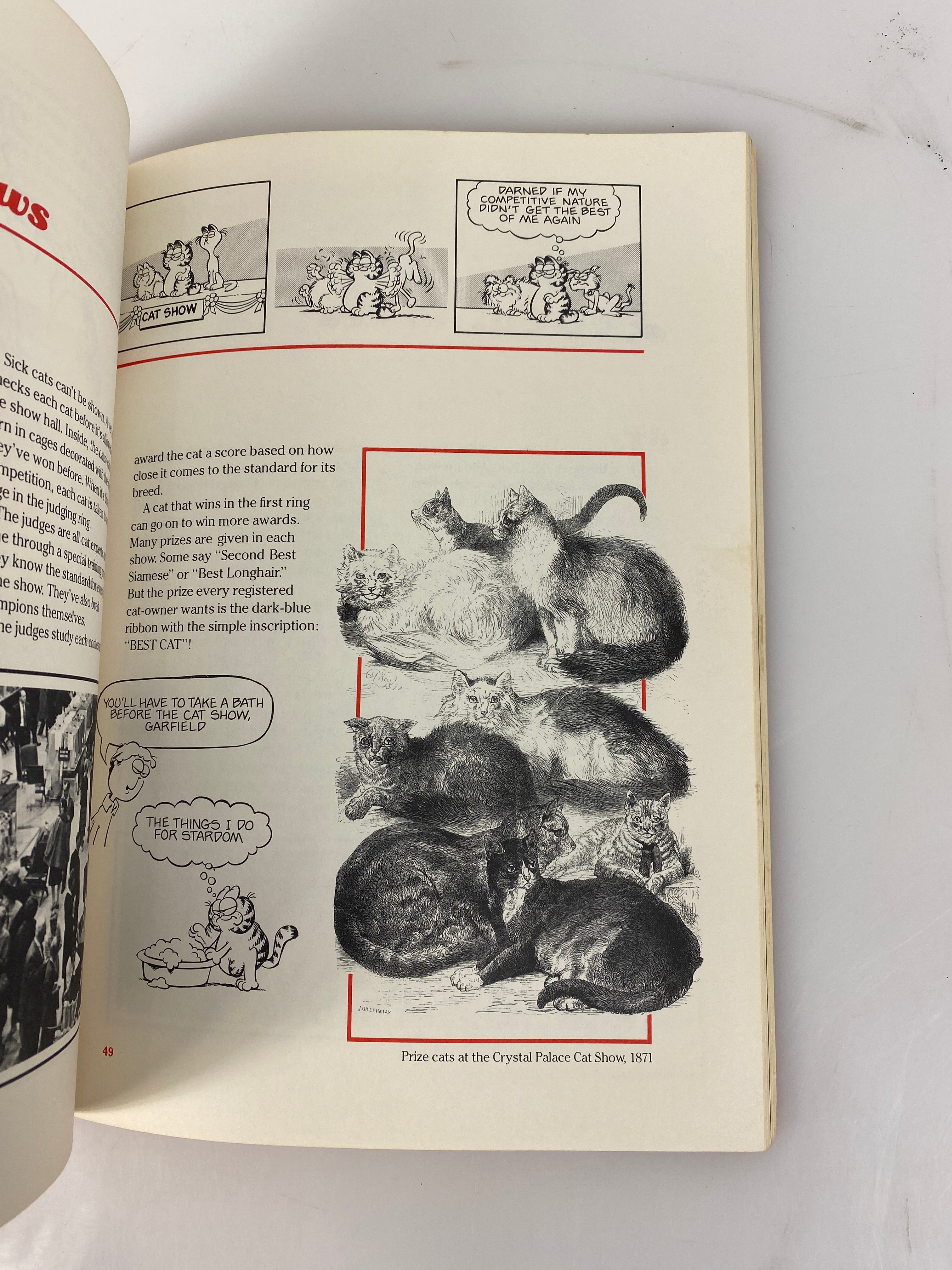 Garfield Complete Cat Book Jim Davis 1981 SC
