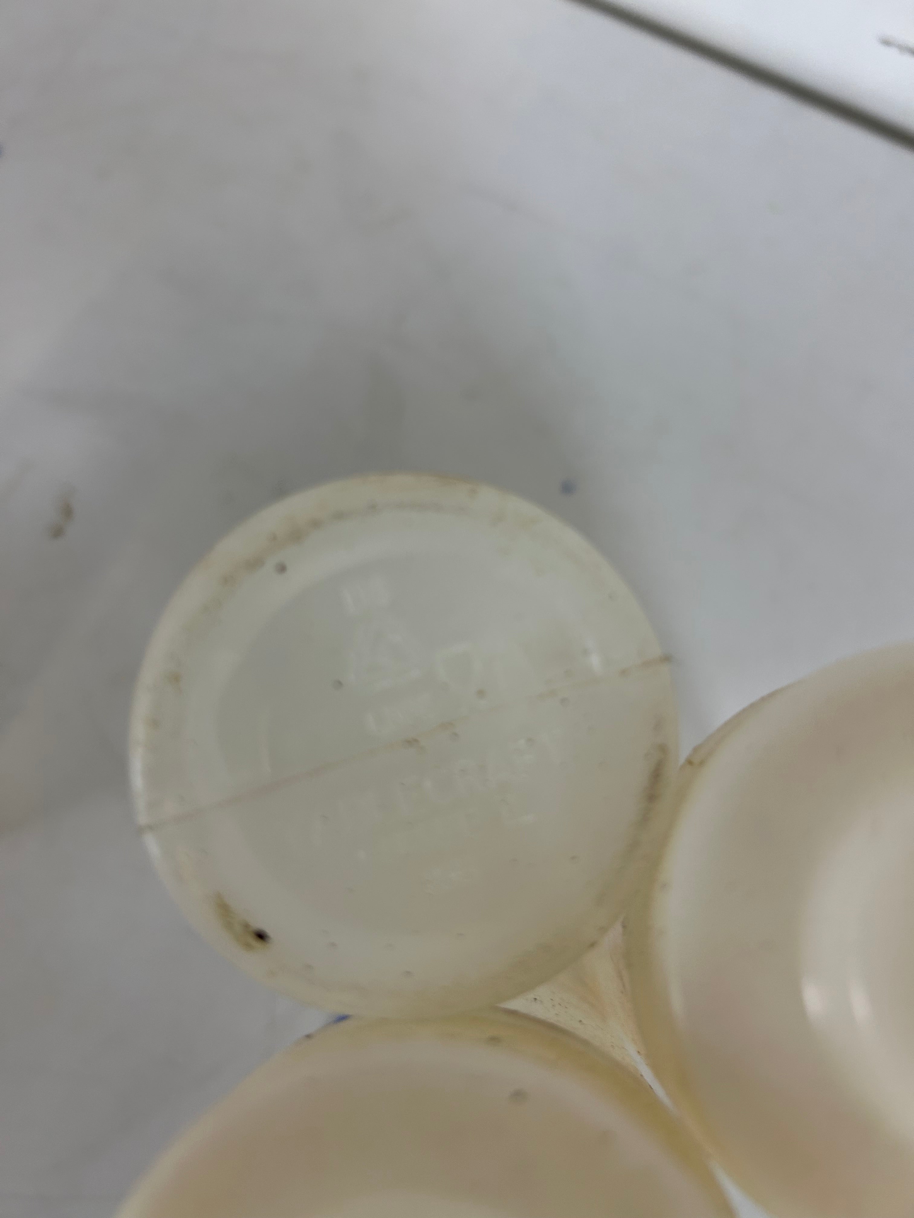 Lot of Assorted Commercial Kitchen Supplies