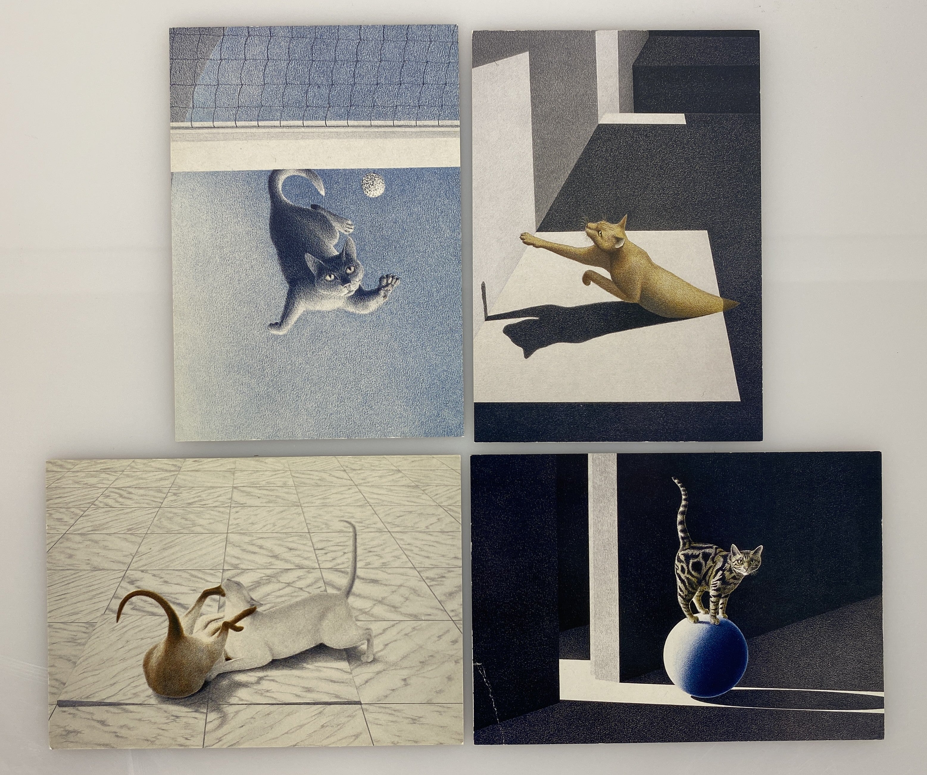 Cat Themed Postcards by Rene Boin