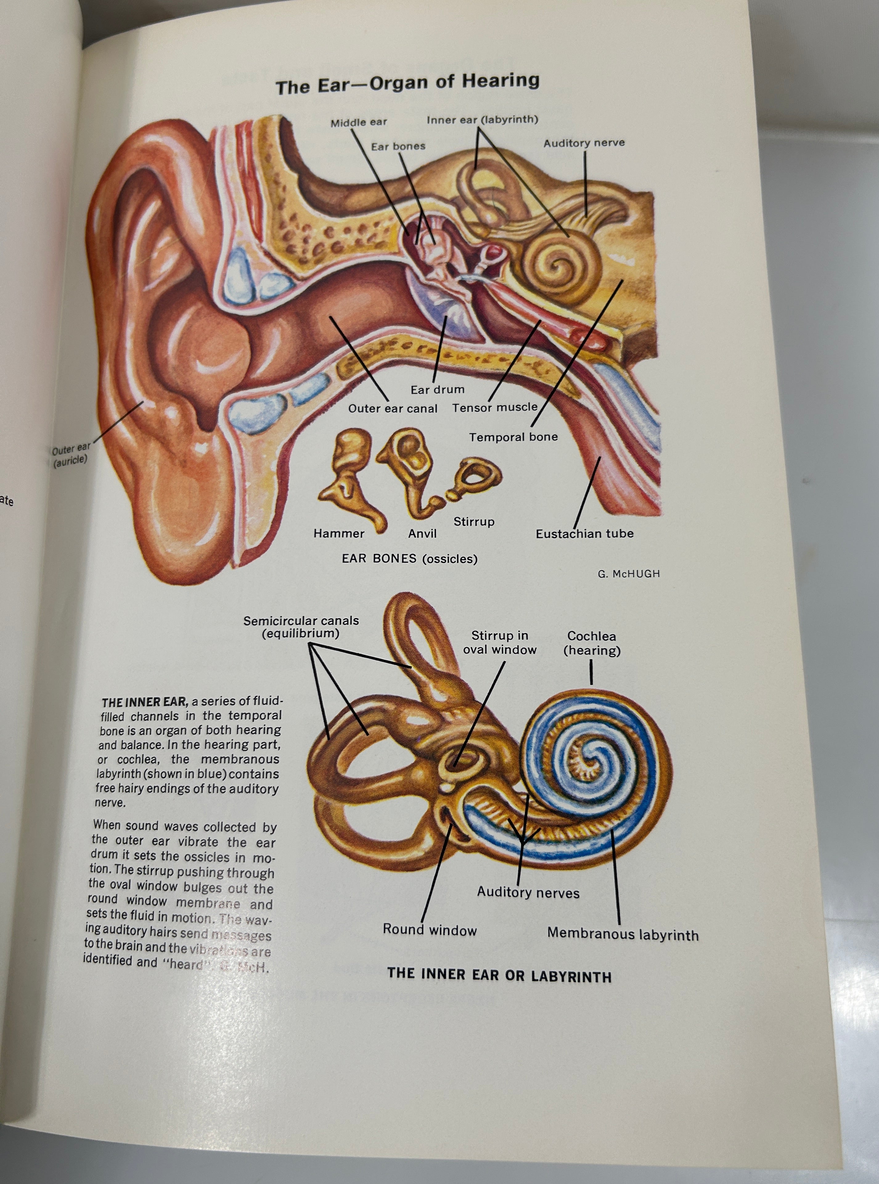 Set of 4 The New Illustrated Medical & Health Encyclopedia Ed Fishbein 1975 HC