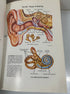 Set of 4 The New Illustrated Medical & Health Encyclopedia Ed Fishbein 1975 HC