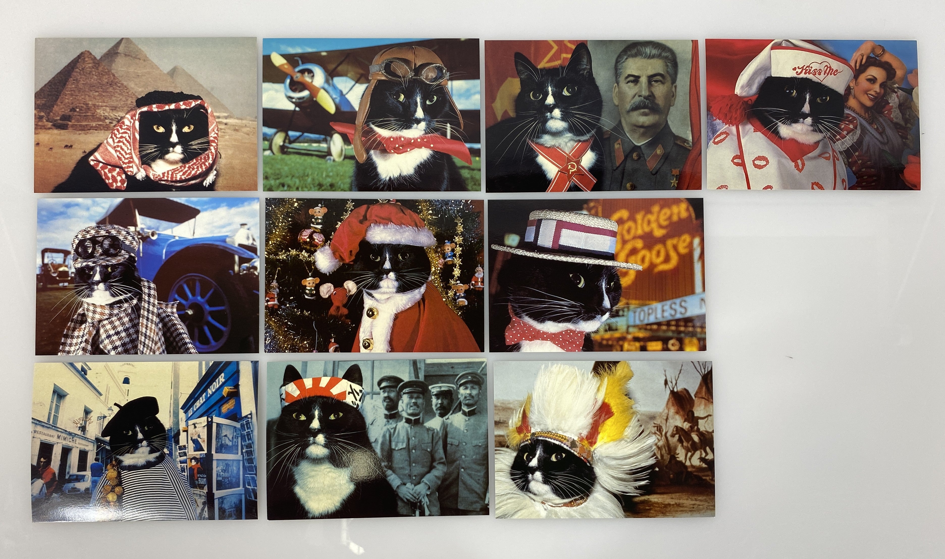 Cat Themed Postcards by Michael Weigall