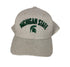 Michigan State University Gray Snapback Hat