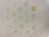 Lot of 17 Vintage Rpm 45 Record Inserts/Adaptors