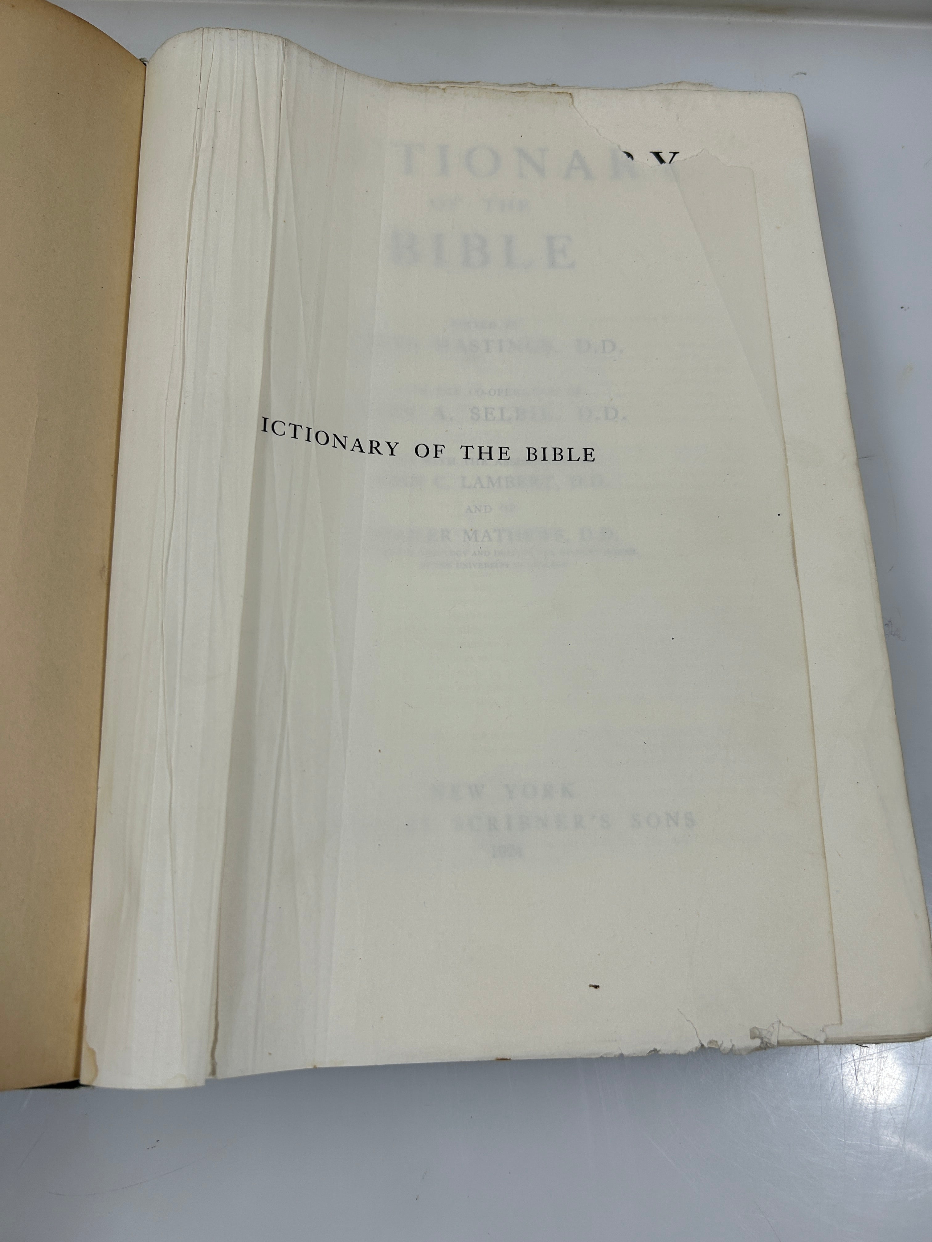 Dictionary of the Bible Ed James Hastings India Paper Ed Scribners 1924 HC