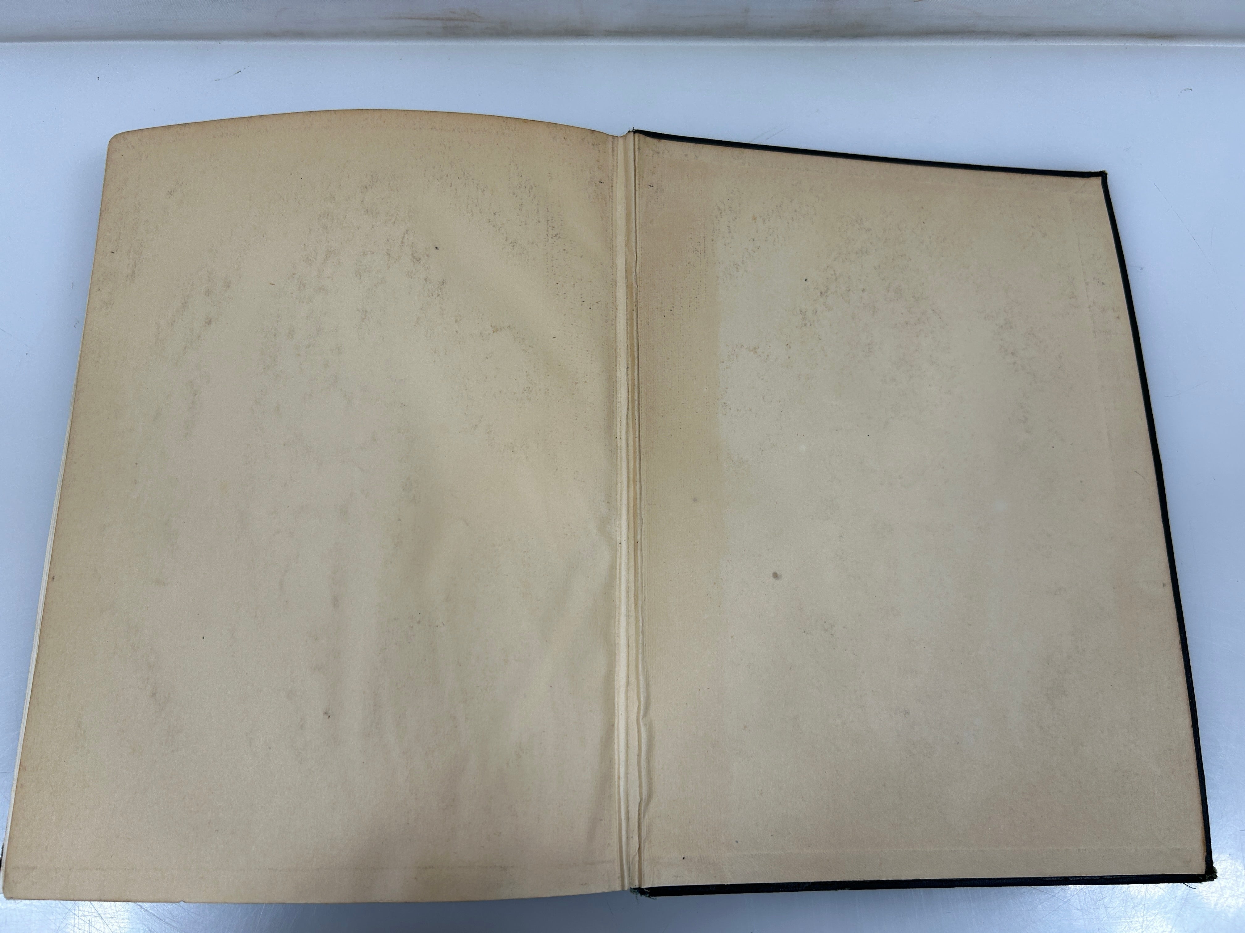 Dictionary of the Bible Ed James Hastings India Paper Ed Scribners 1924 HC