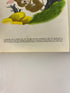 Lively Little Rabbit Little Golden Book 1943