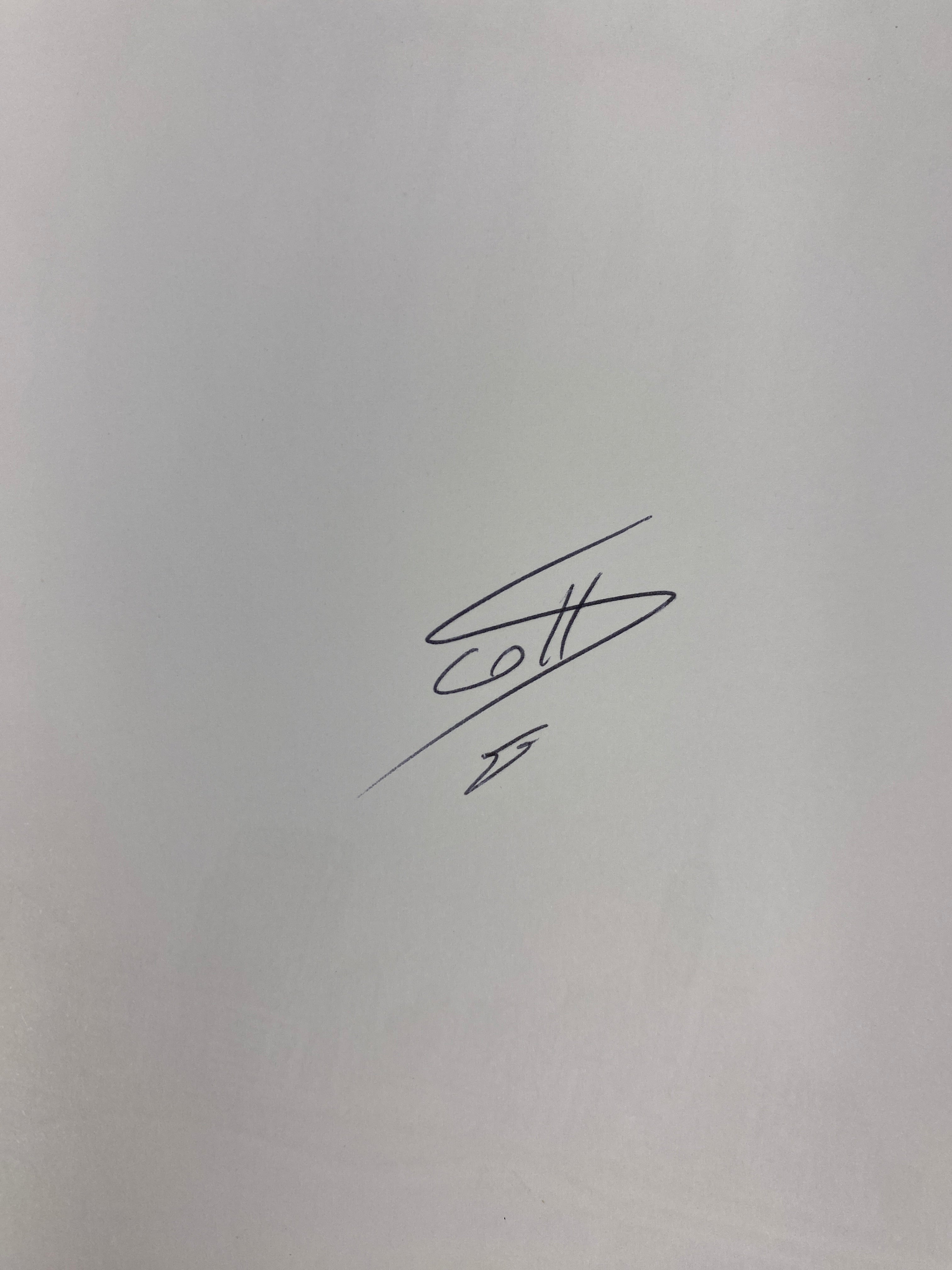 Sculptor Scott McCloud Graphic Novel *signed*