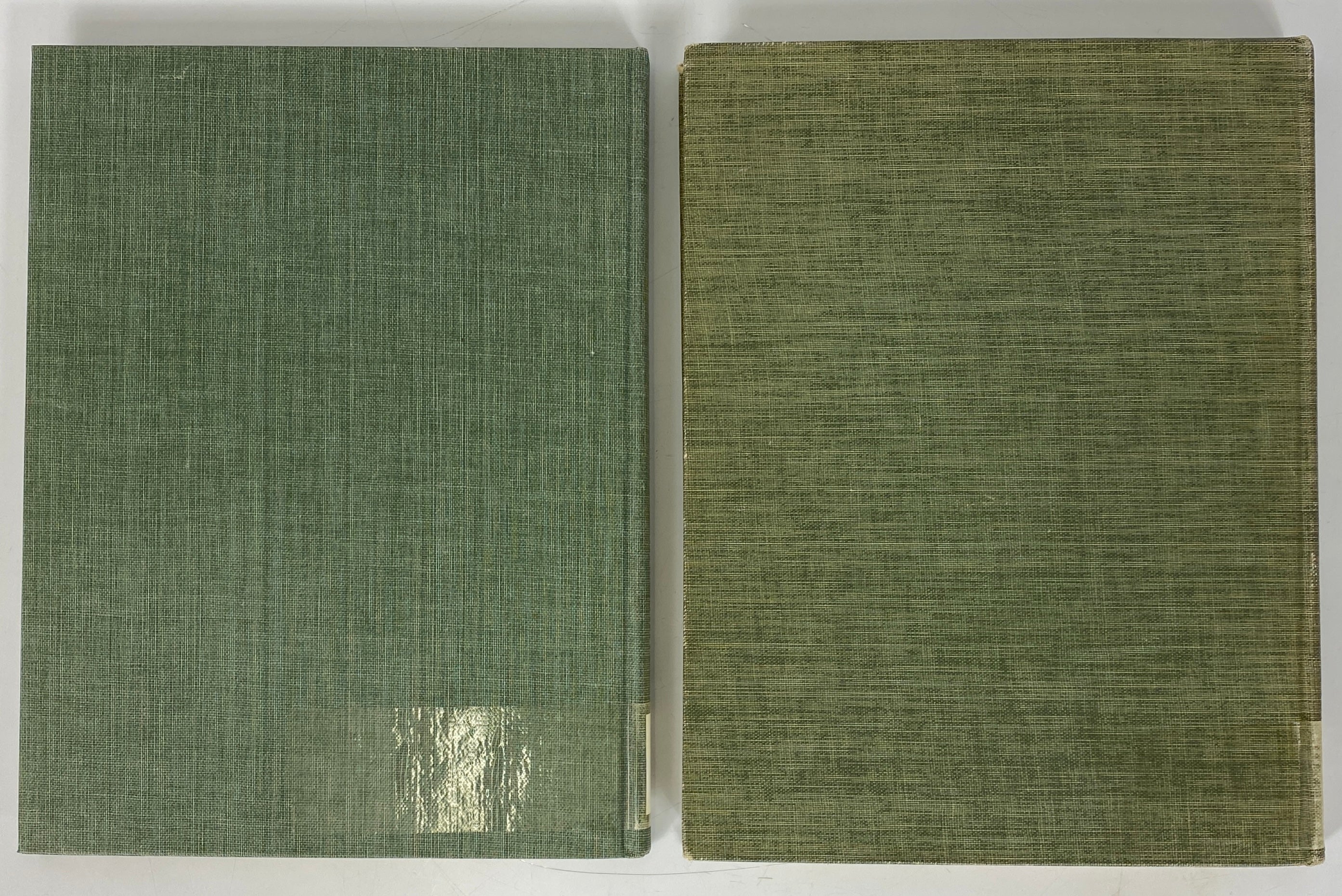 2 Vols The Ciba Collection of Medical Illustrations Frank Netter HC Ex-Library