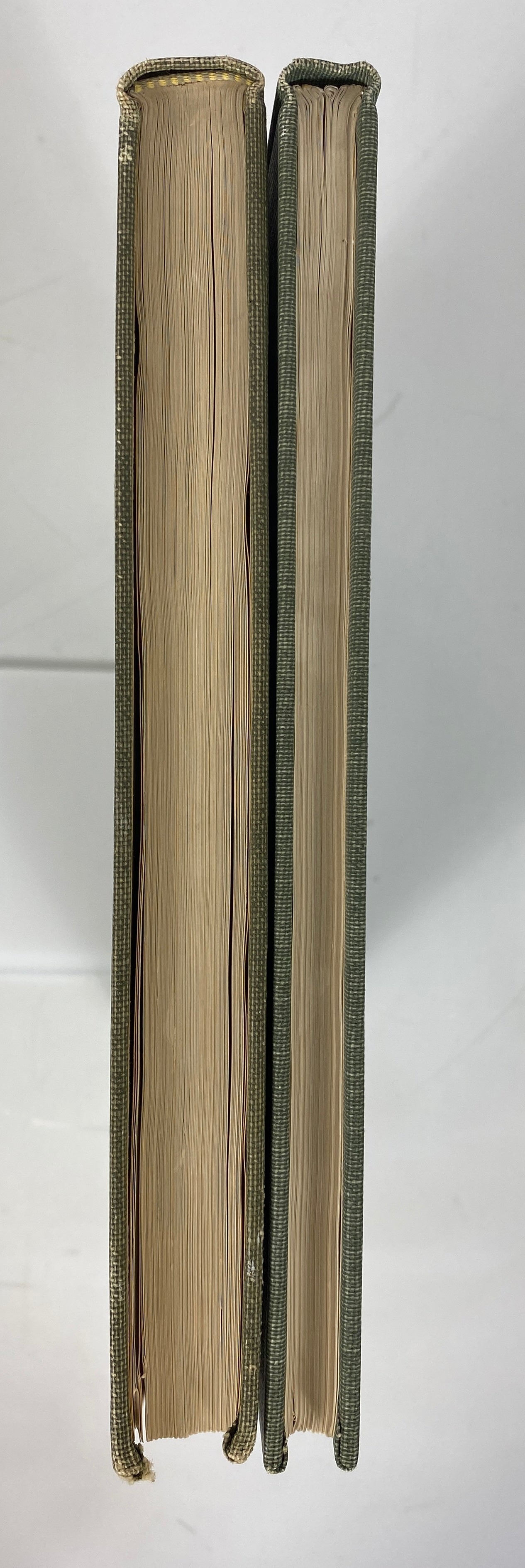 2 Vols The Ciba Collection of Medical Illustrations Frank Netter HC Ex-Library