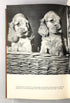 Lot of 2 Gunter Spitzing Photography Guides Portraits and Flash 1974 HC