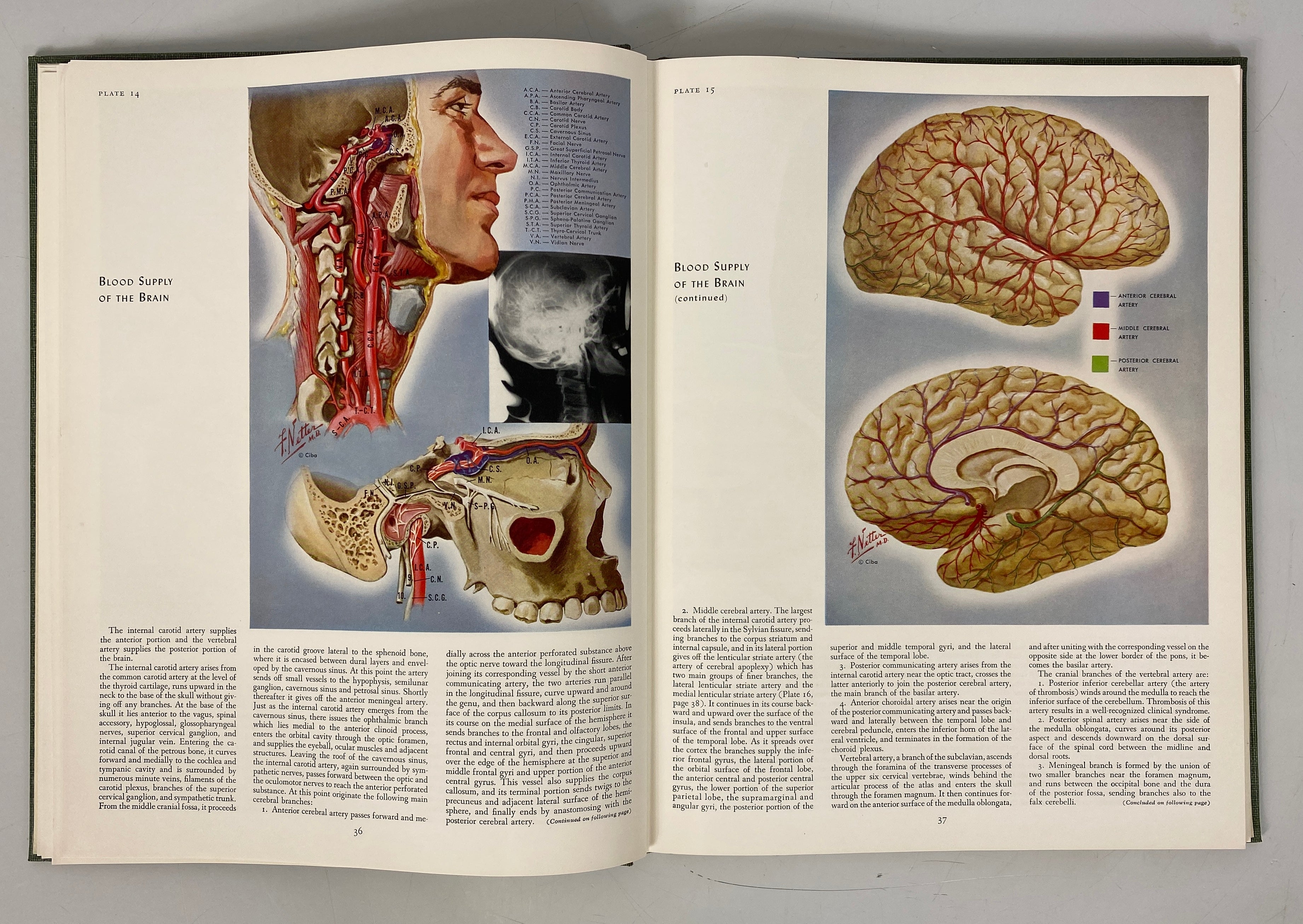 2 Vols The Ciba Collection of Medical Illustrations Frank Netter HC Ex-Library