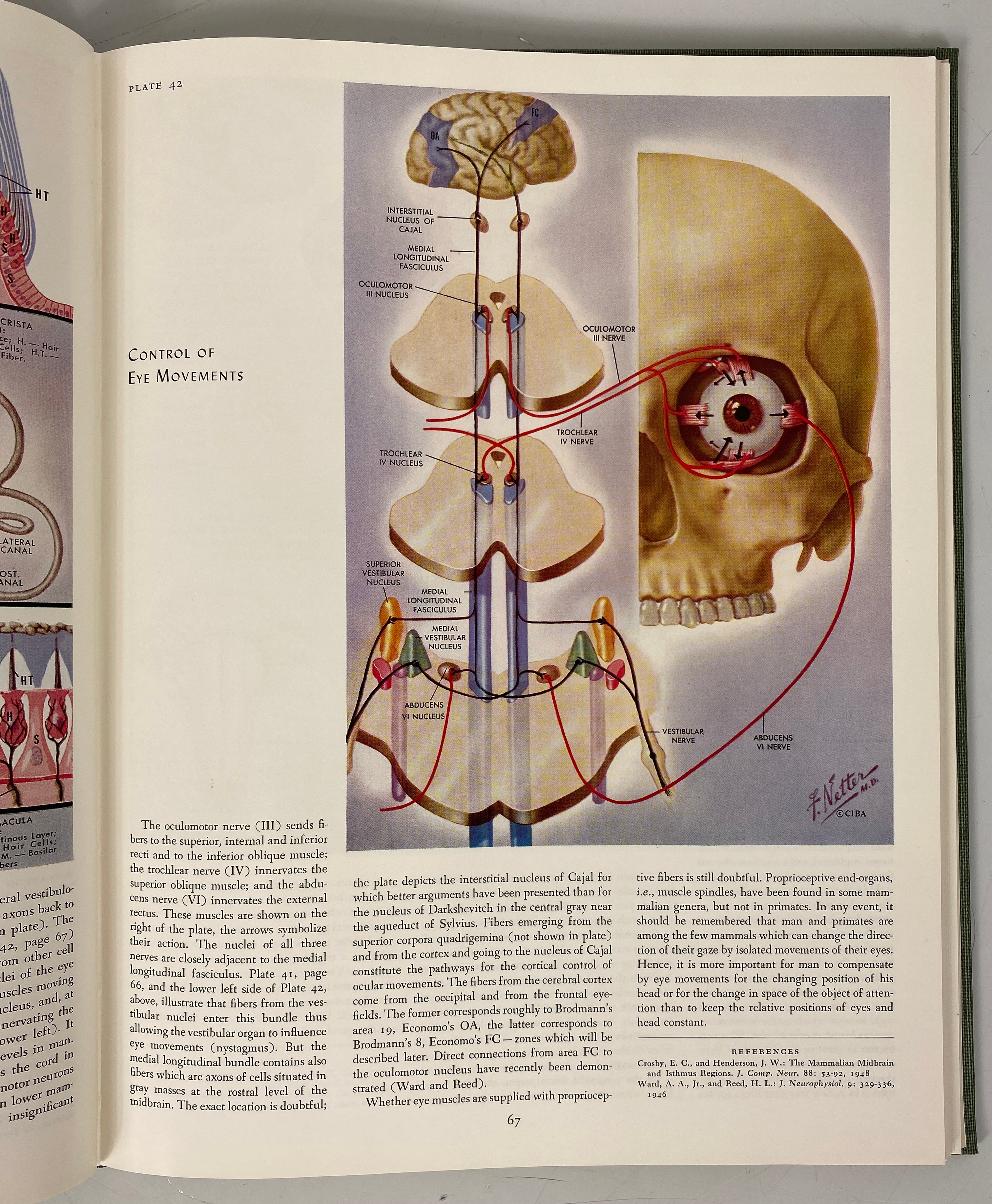 2 Vols The Ciba Collection of Medical Illustrations Frank Netter HC Ex-Library