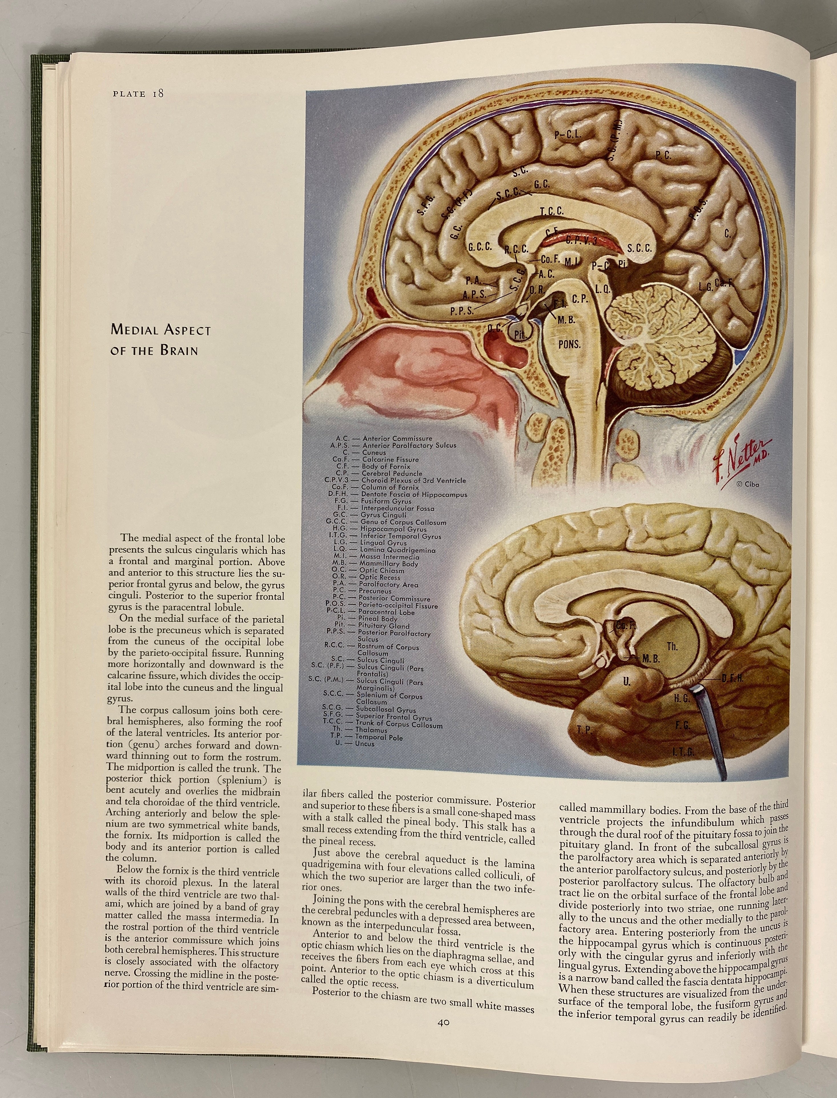 2 Vols The Ciba Collection of Medical Illustrations Frank Netter HC Ex-Library