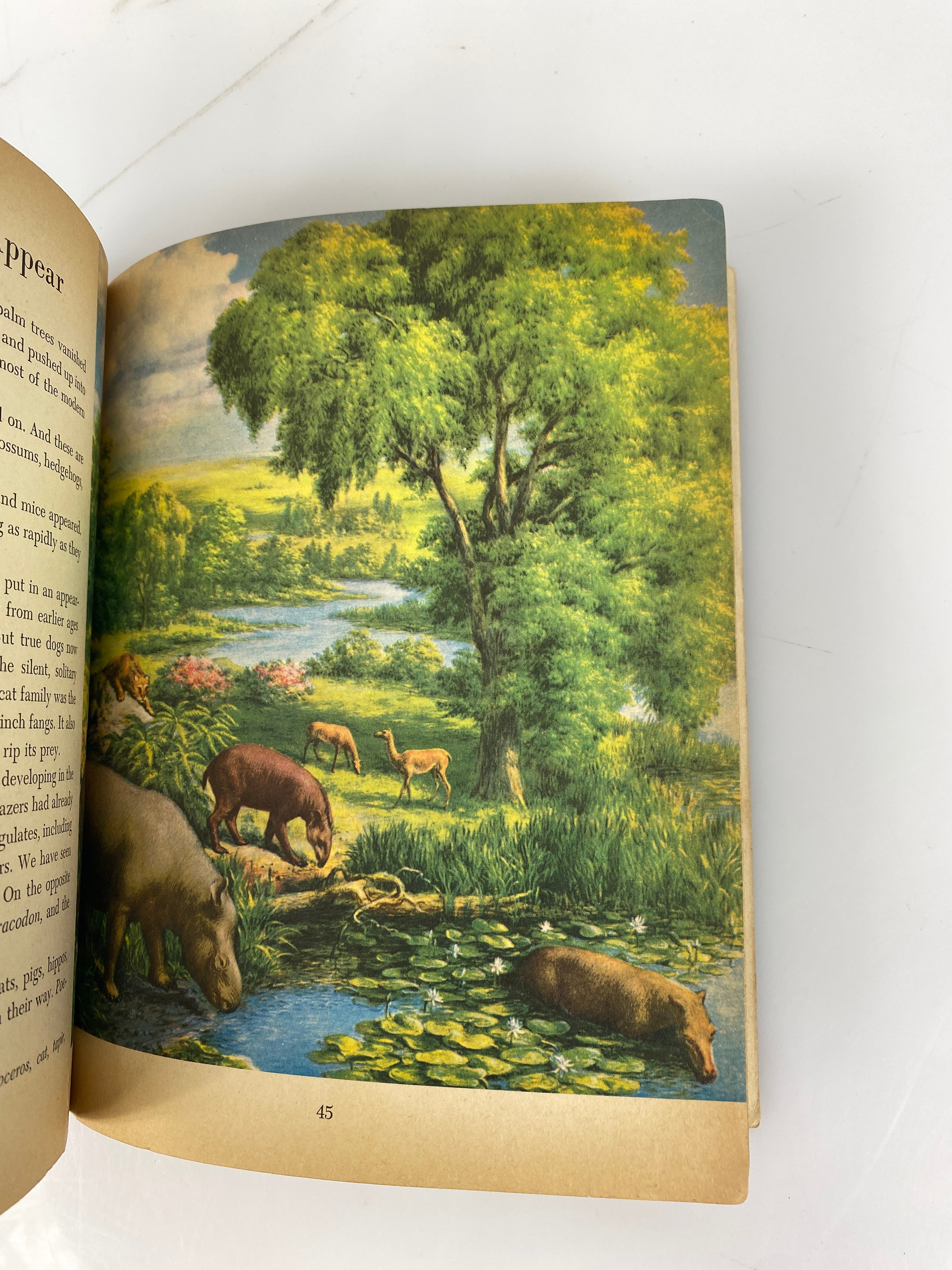 Prehistoric Animals Golden Library of Knowledge 1958
