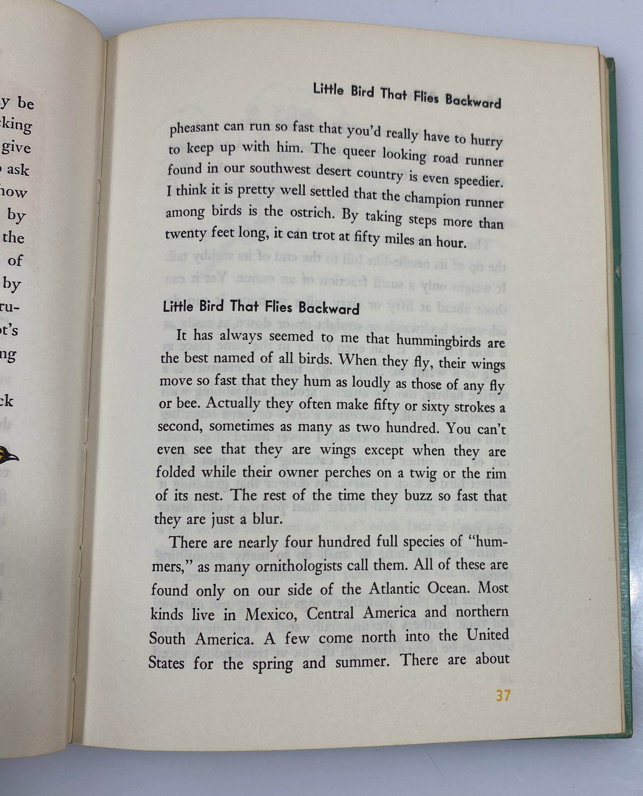 All About Birds Robert S. Lemmon Random House 6th Print 1955 HC