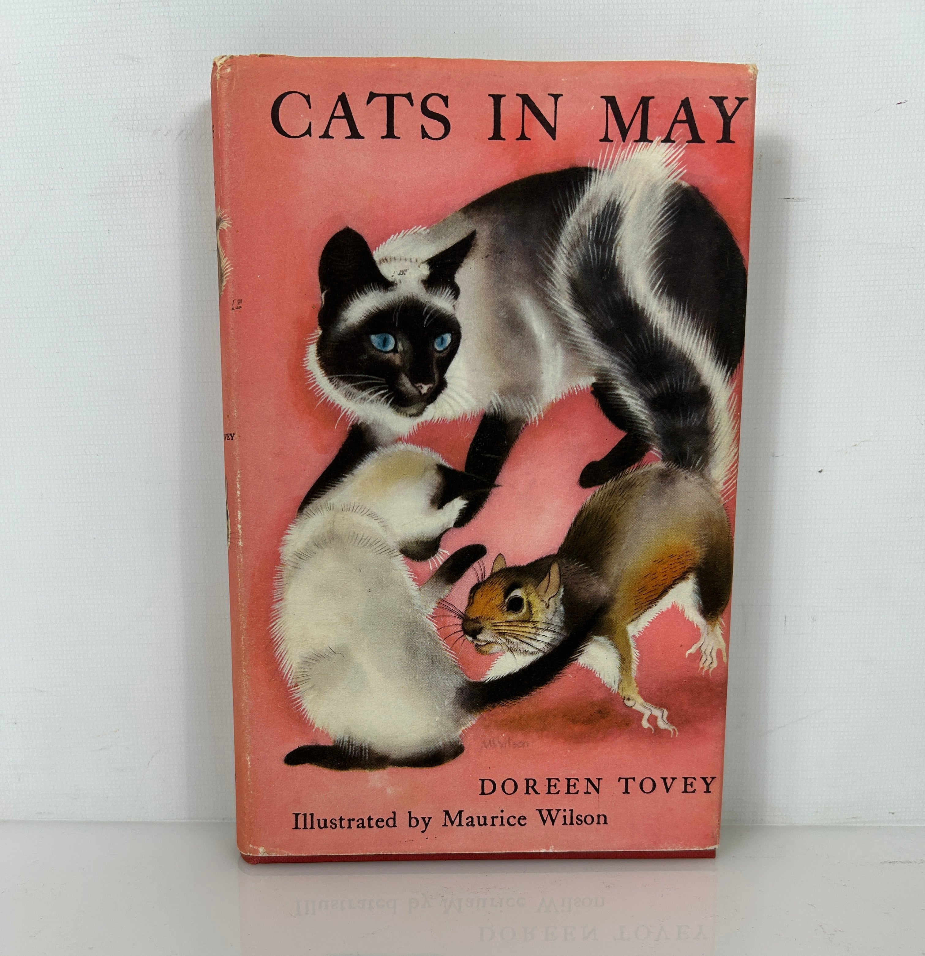 Cats In May Dorean Tovey 1959 HCDJ