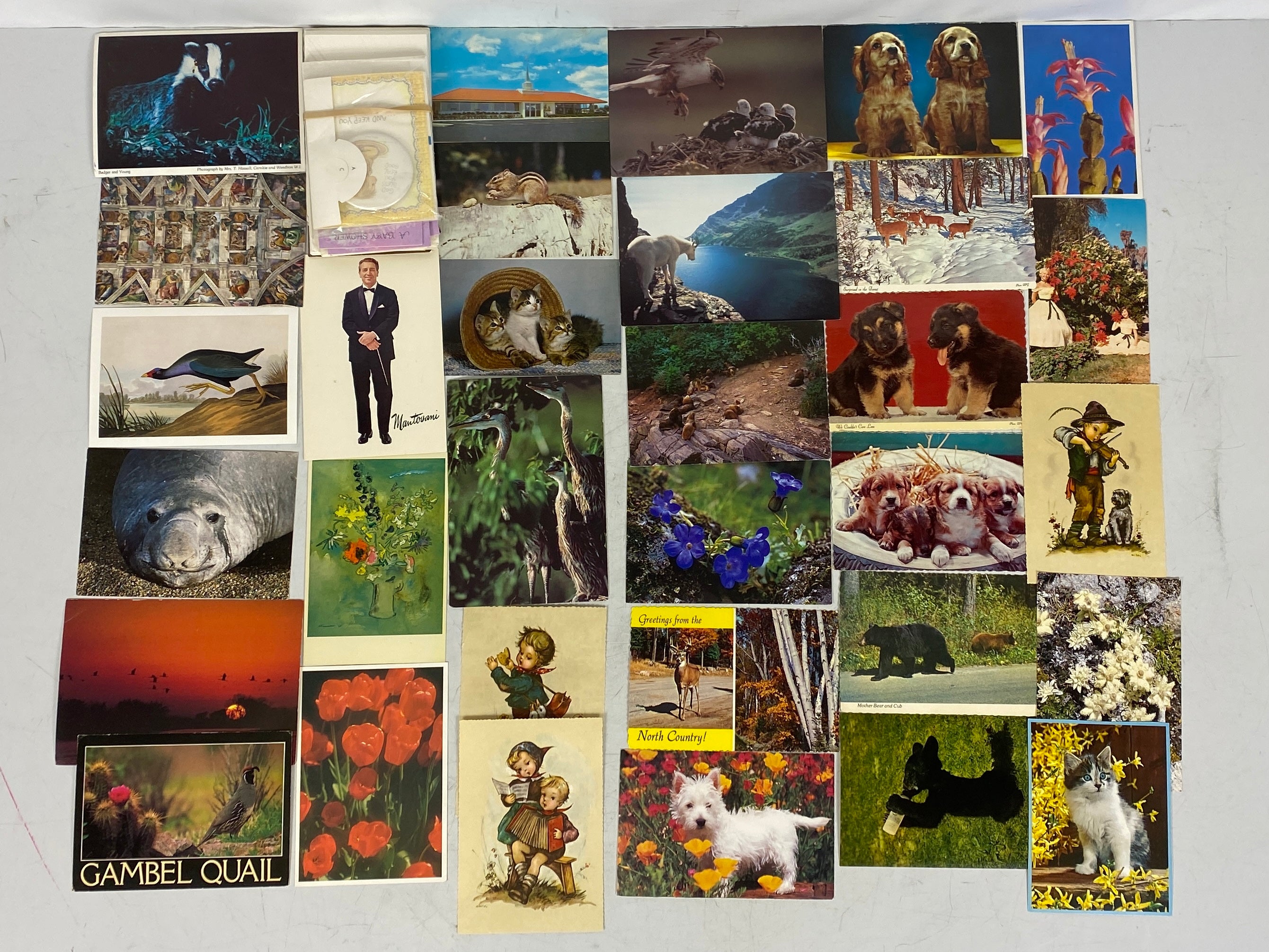 Lot of Art and Nature Postcards and Ephemera