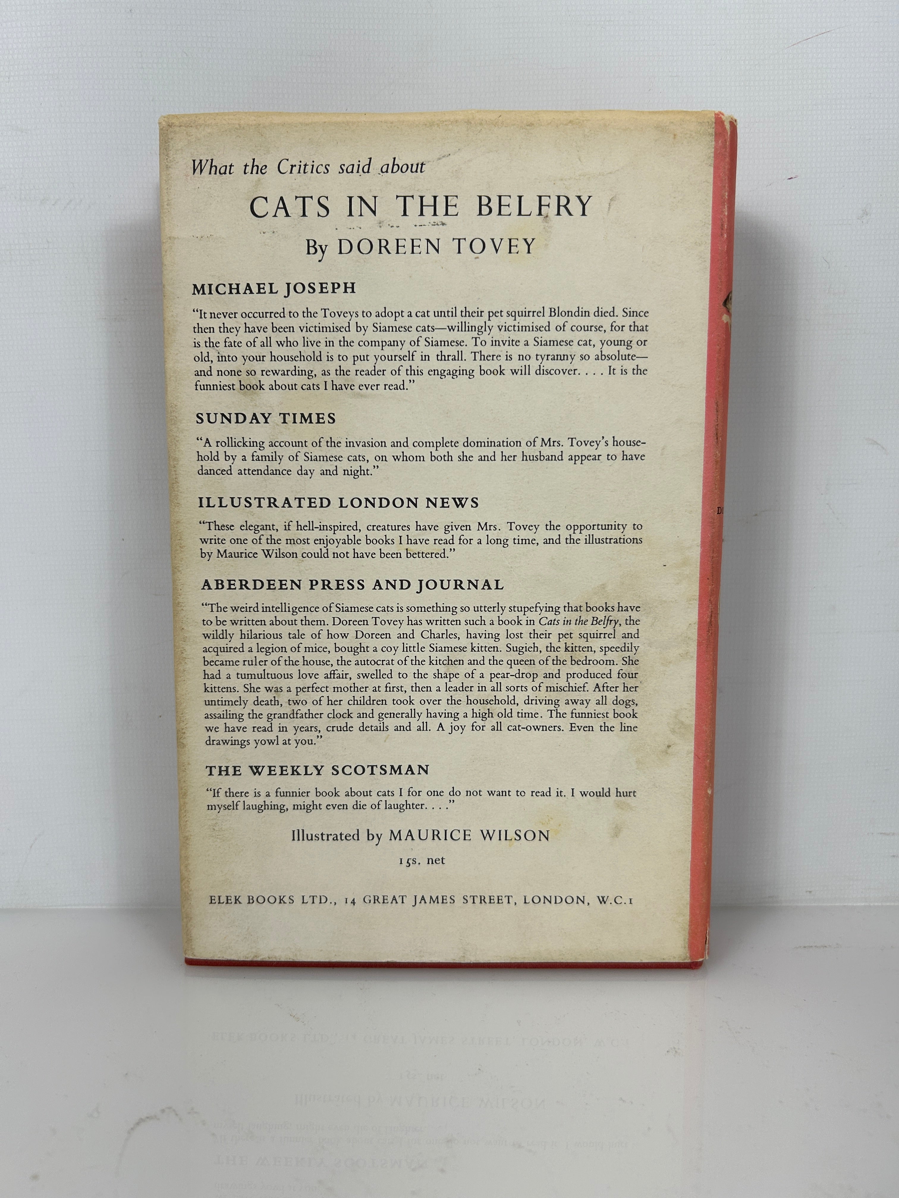 Cats In May Dorean Tovey 1959 HCDJ