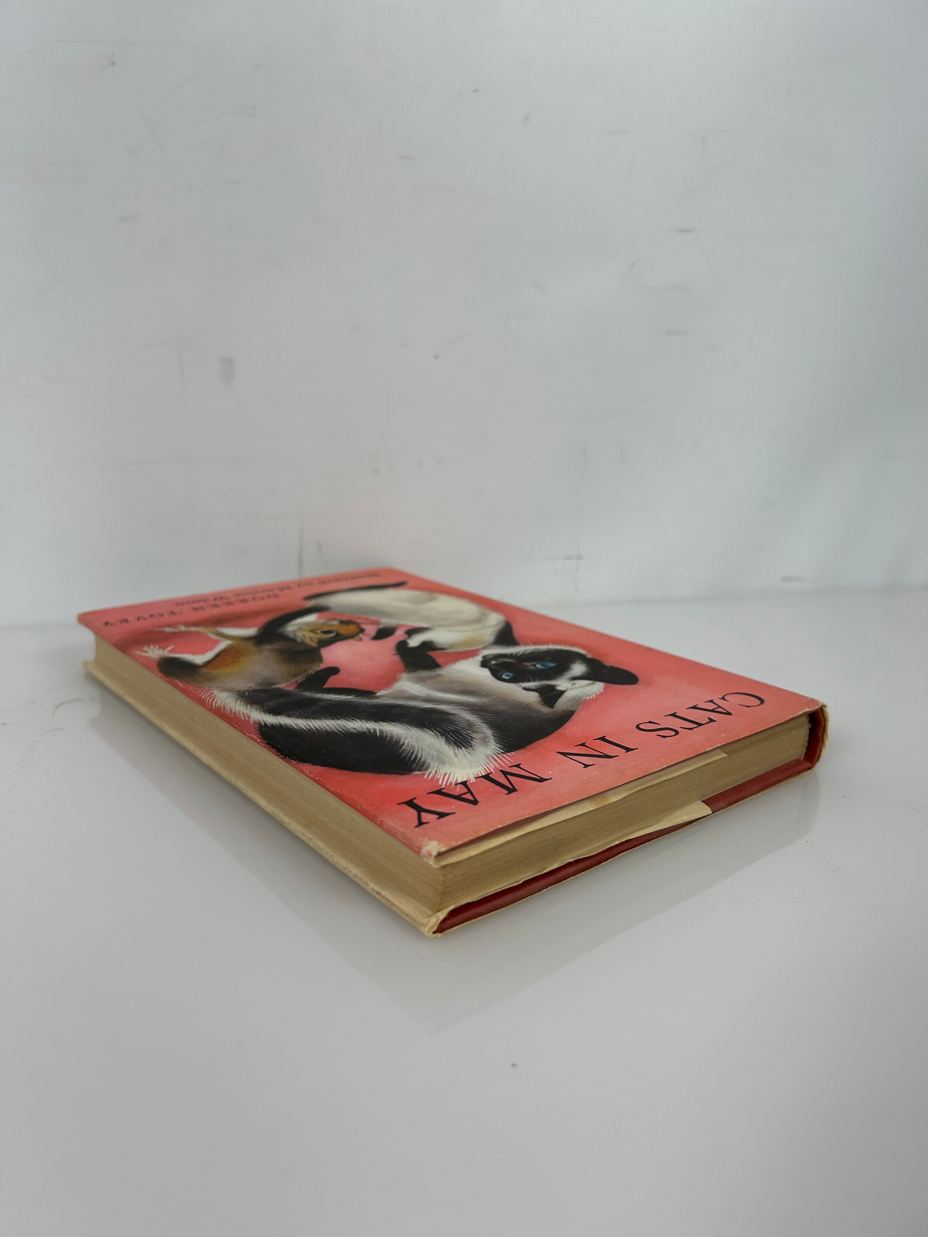 Cats In May Dorean Tovey 1959 HCDJ