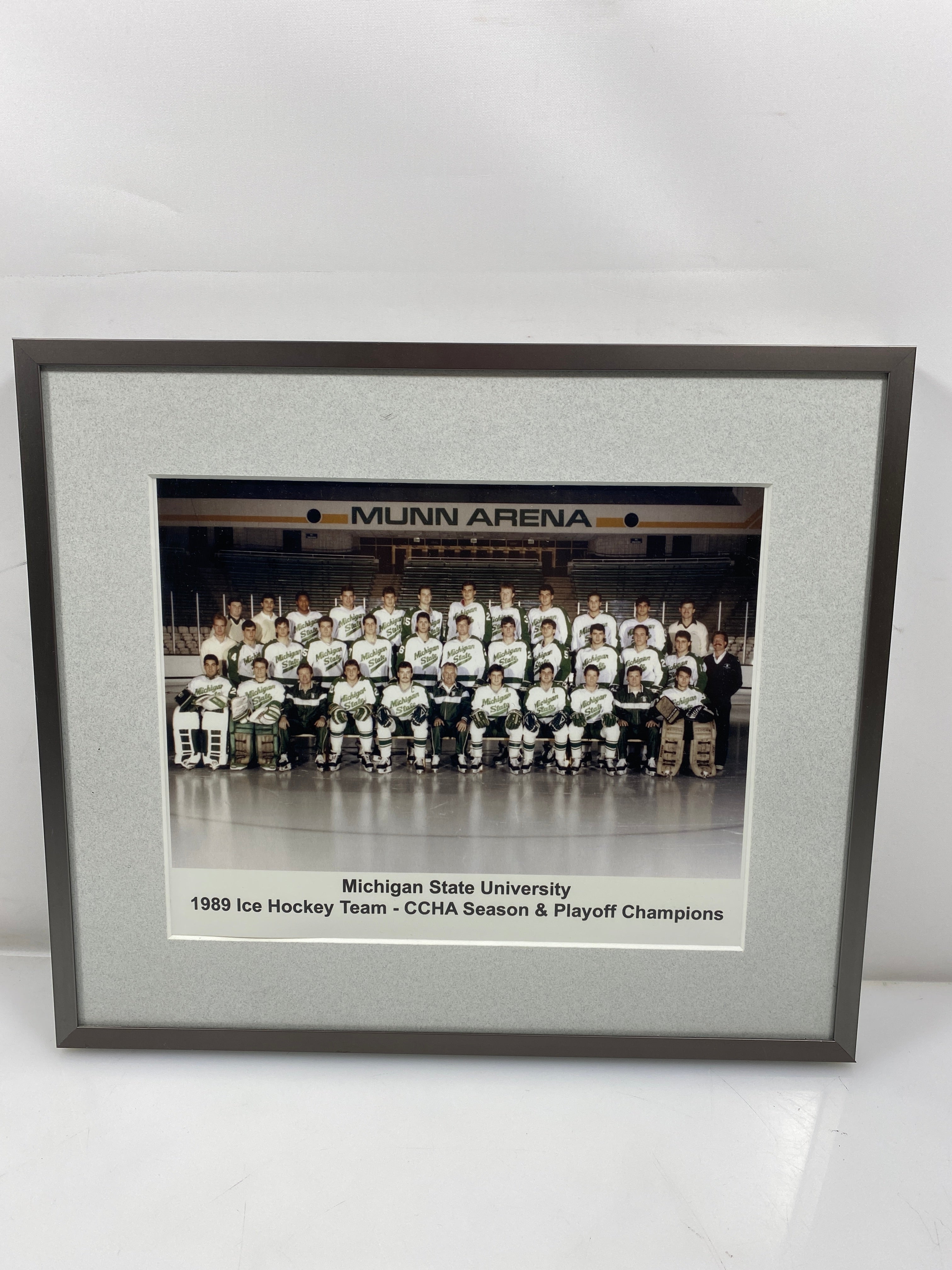 Michigan State University 1989 Ice Hockey Team - CCHA Season & Playoff Champions