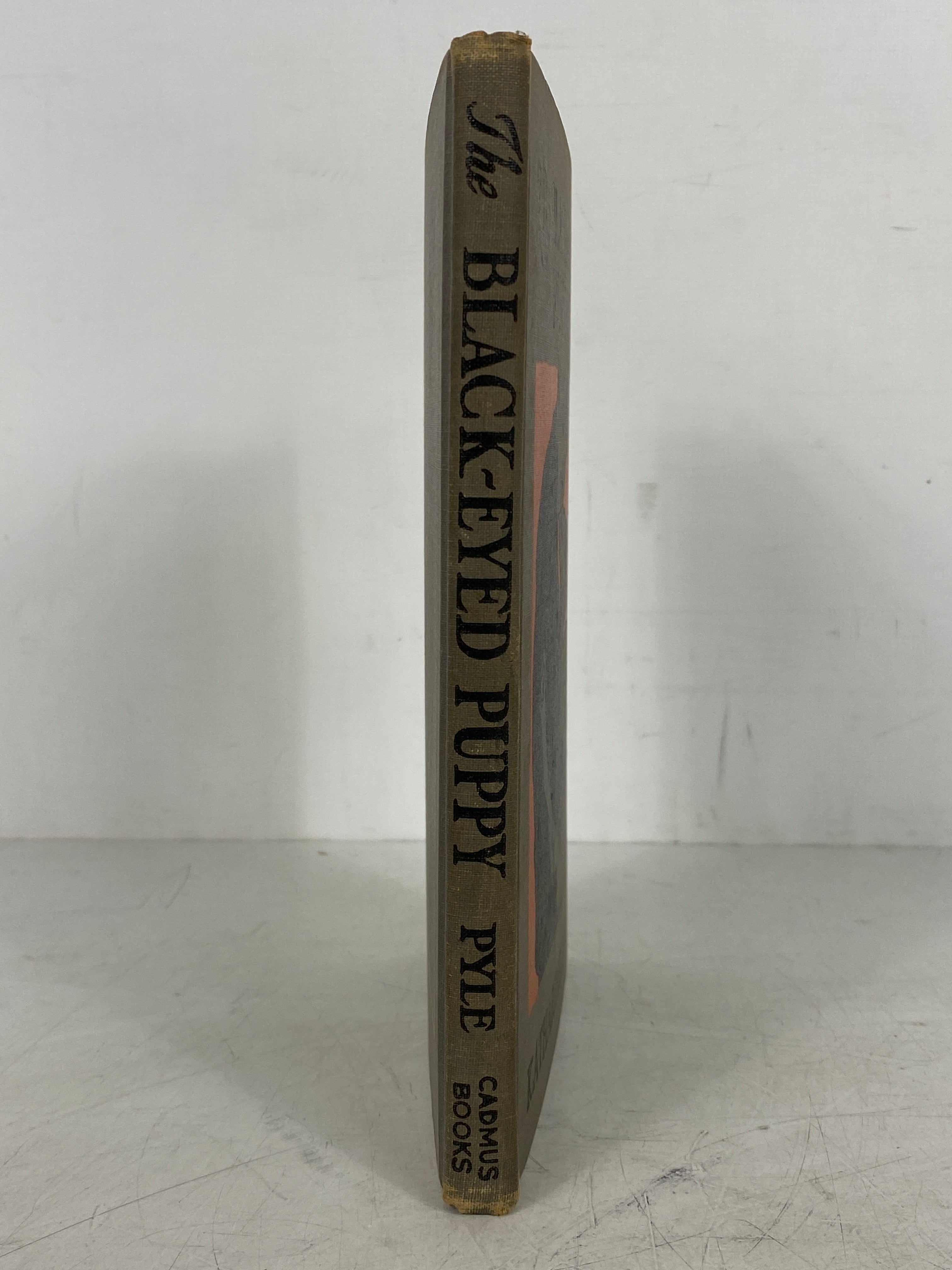 The Black-Eyed Puppy by Katharine Pyle 1923 Antique HC
