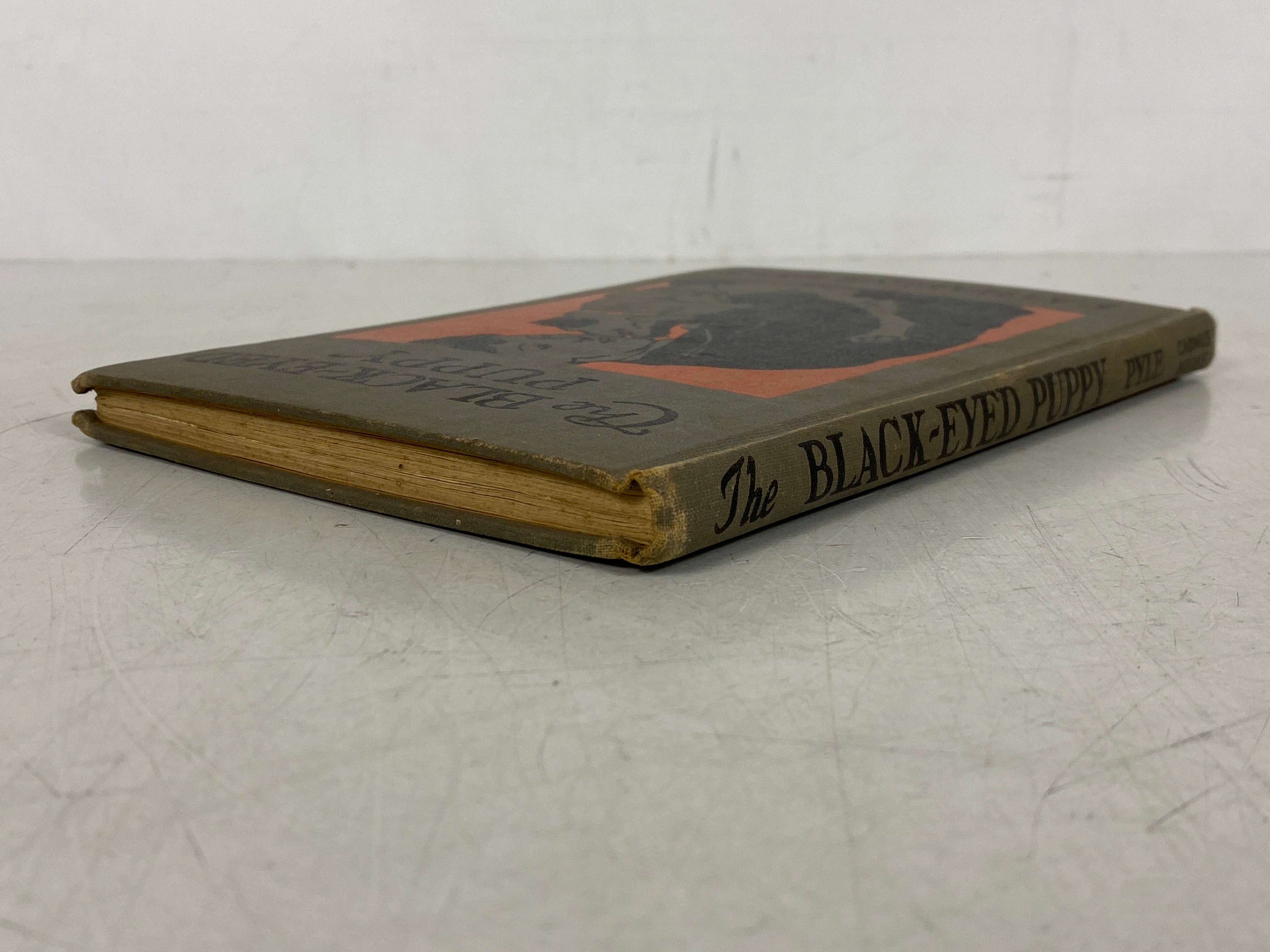 The Black-Eyed Puppy by Katharine Pyle 1923 Antique HC