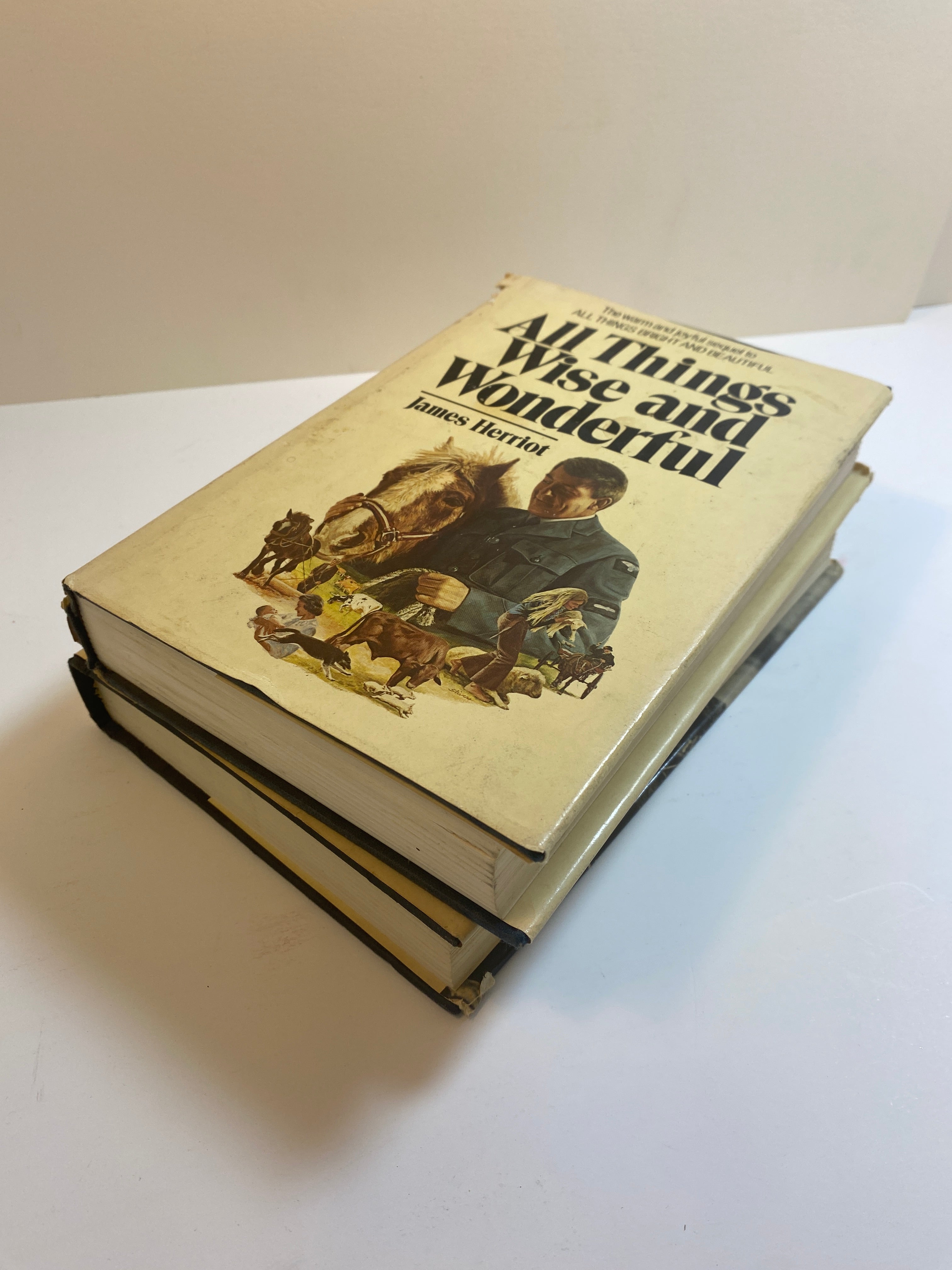 Lot of 2 James Herriot HCDJ Wise and Wonderful Lord God Made Them