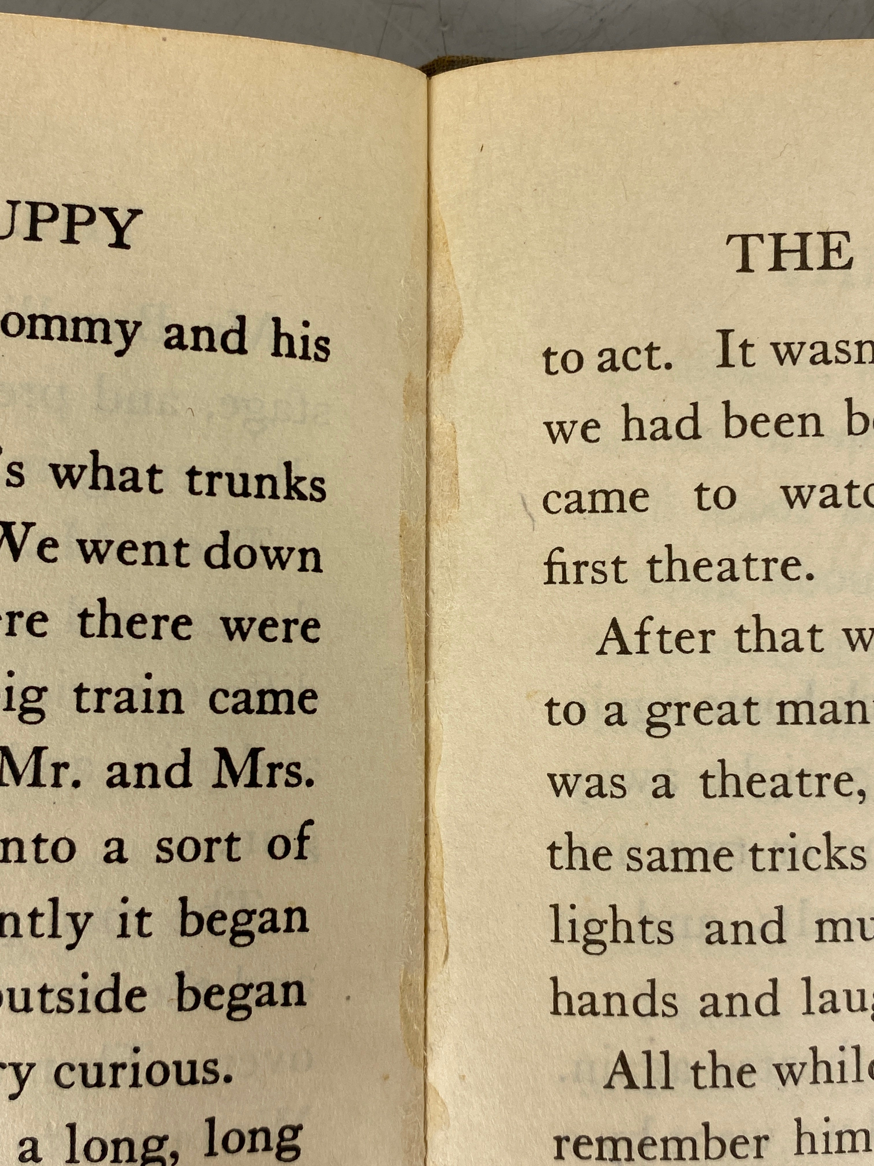 The Black-Eyed Puppy by Katharine Pyle 1923 Antique HC