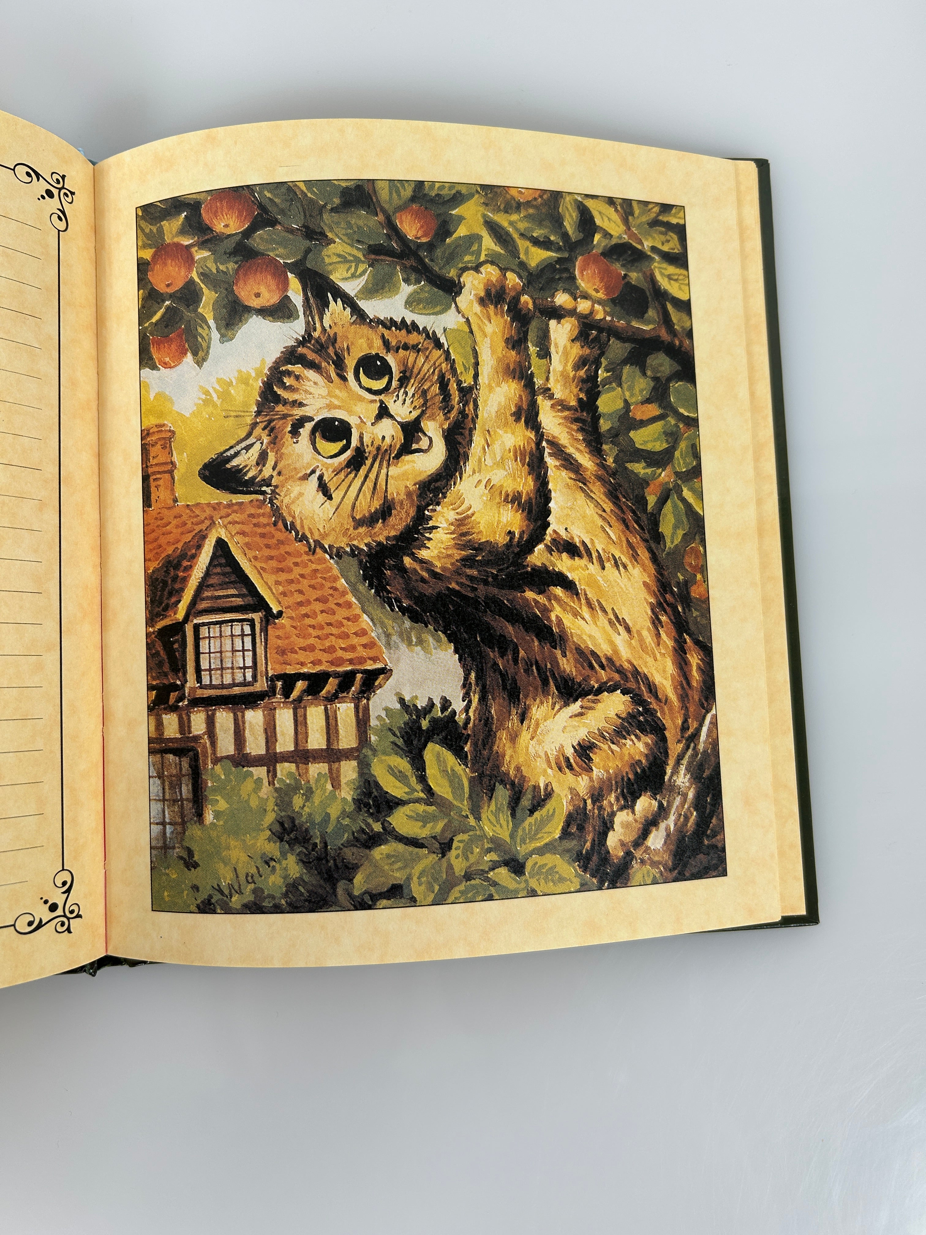 Louis Wain Journal/Notebook