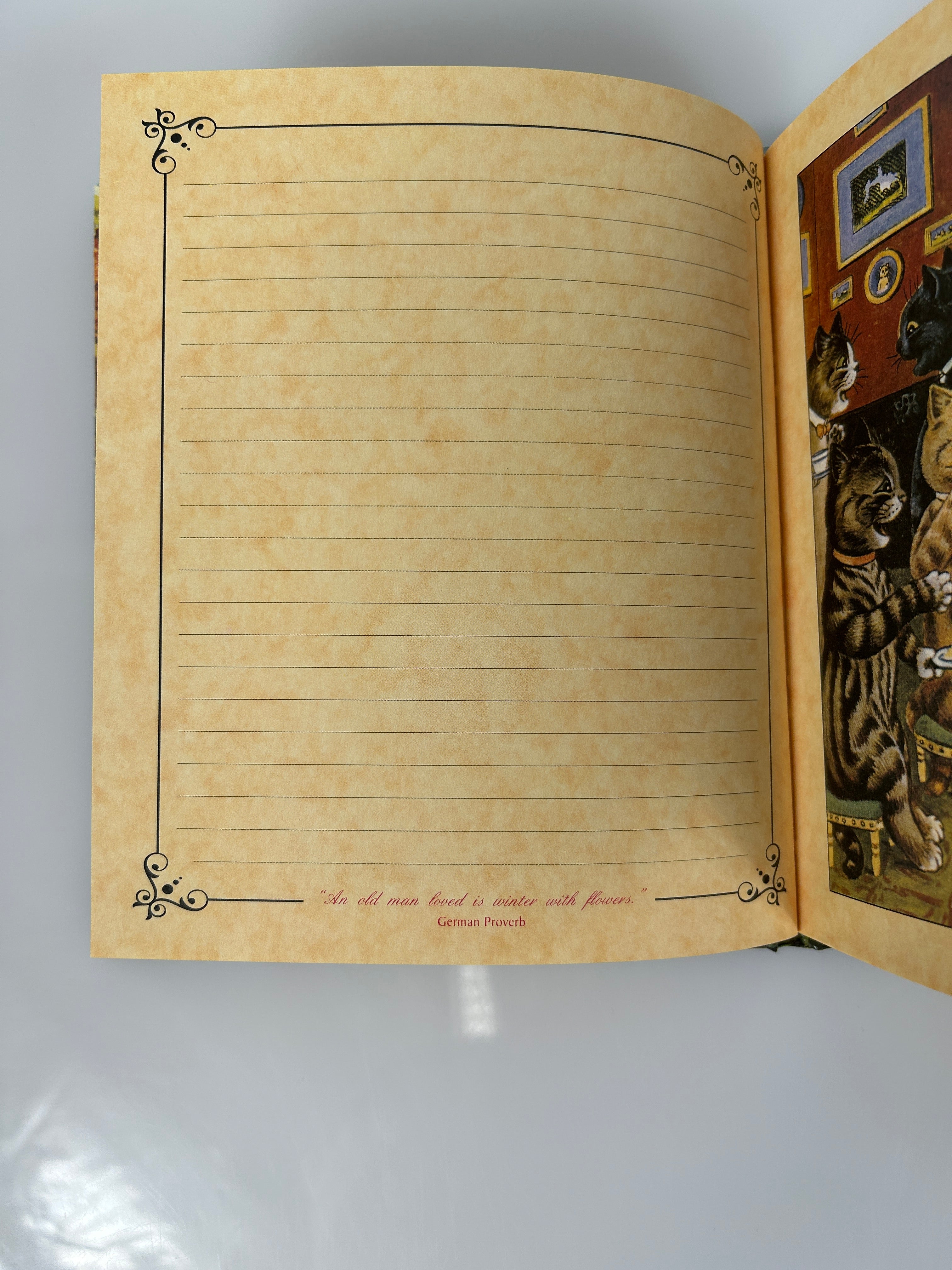 Louis Wain Journal/Notebook