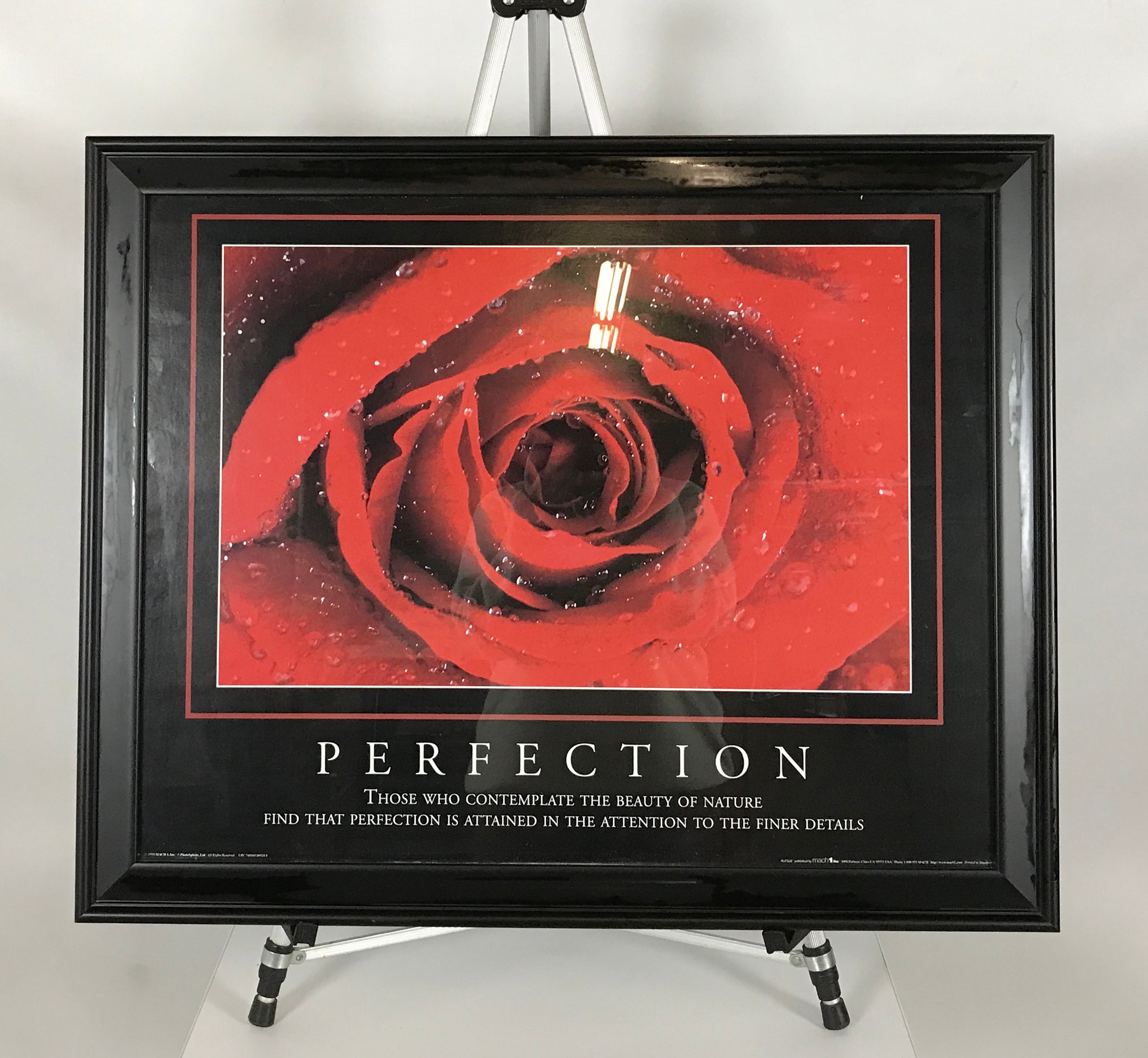 Framed Perfection Photograph