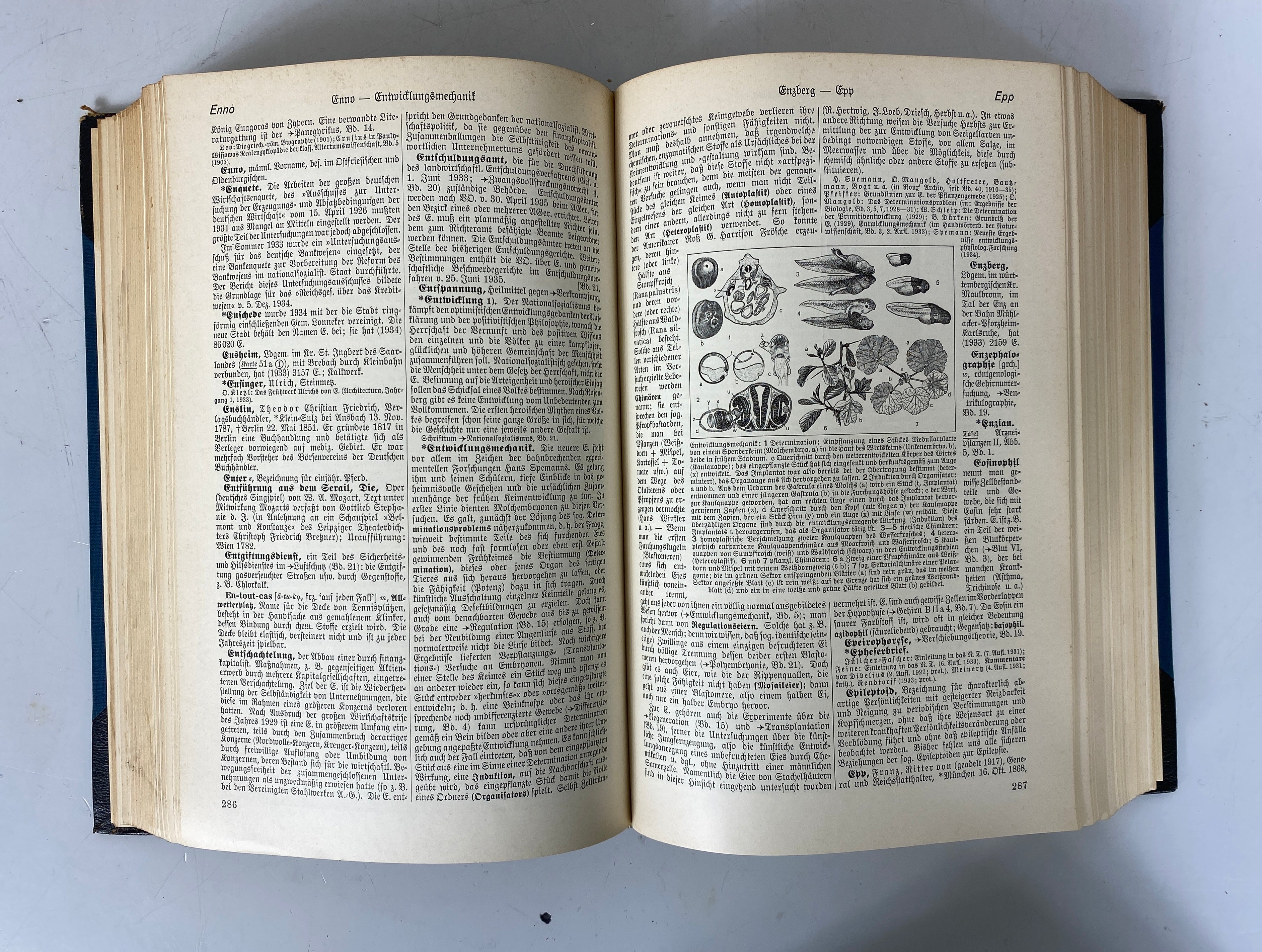22 Volume Complete Set Der Grosse Brockhaus German Encyclopedia 1928 Edition