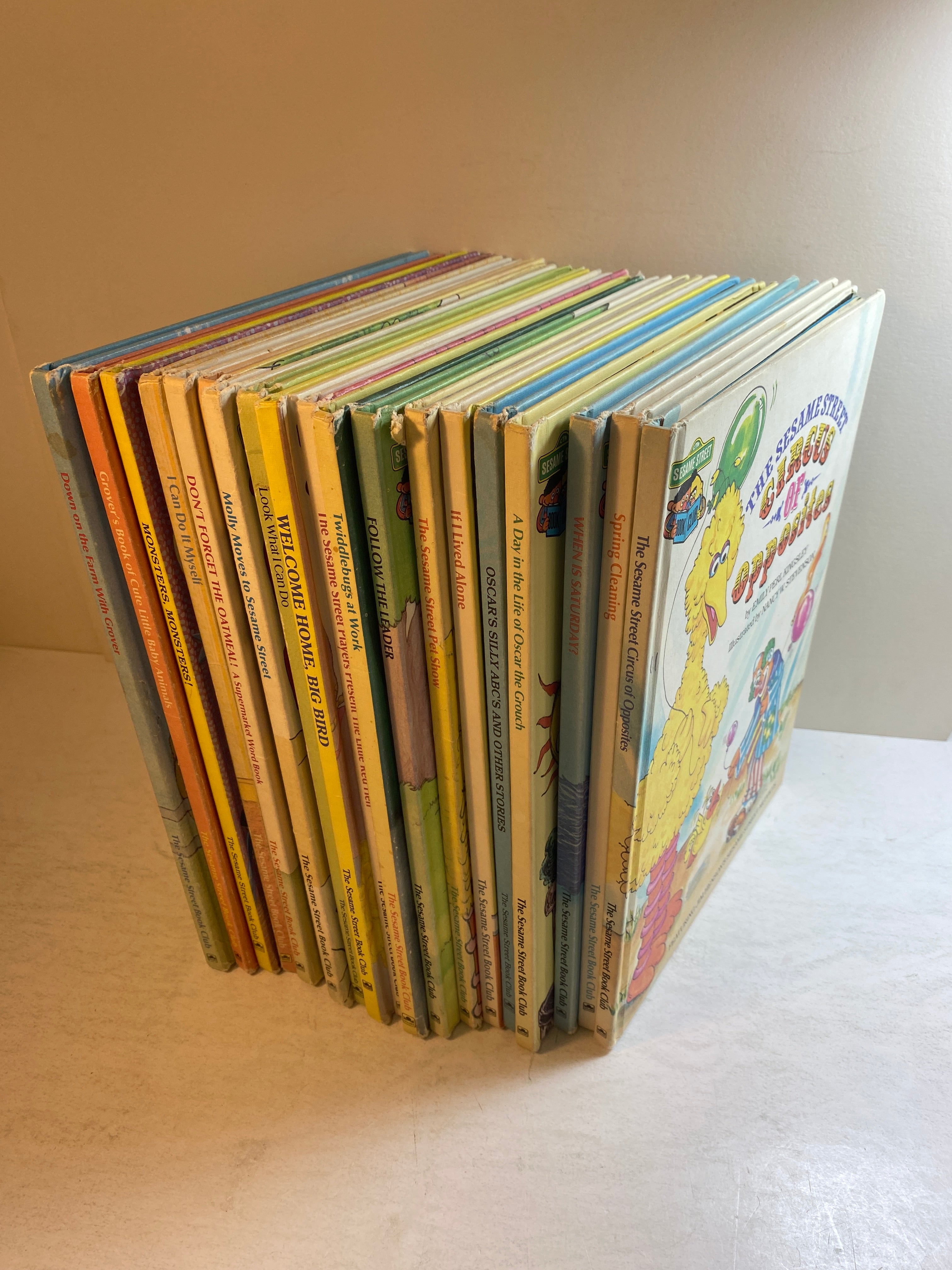 Lot of 19 Sesame Street Book Club Children's Books 1980-1987