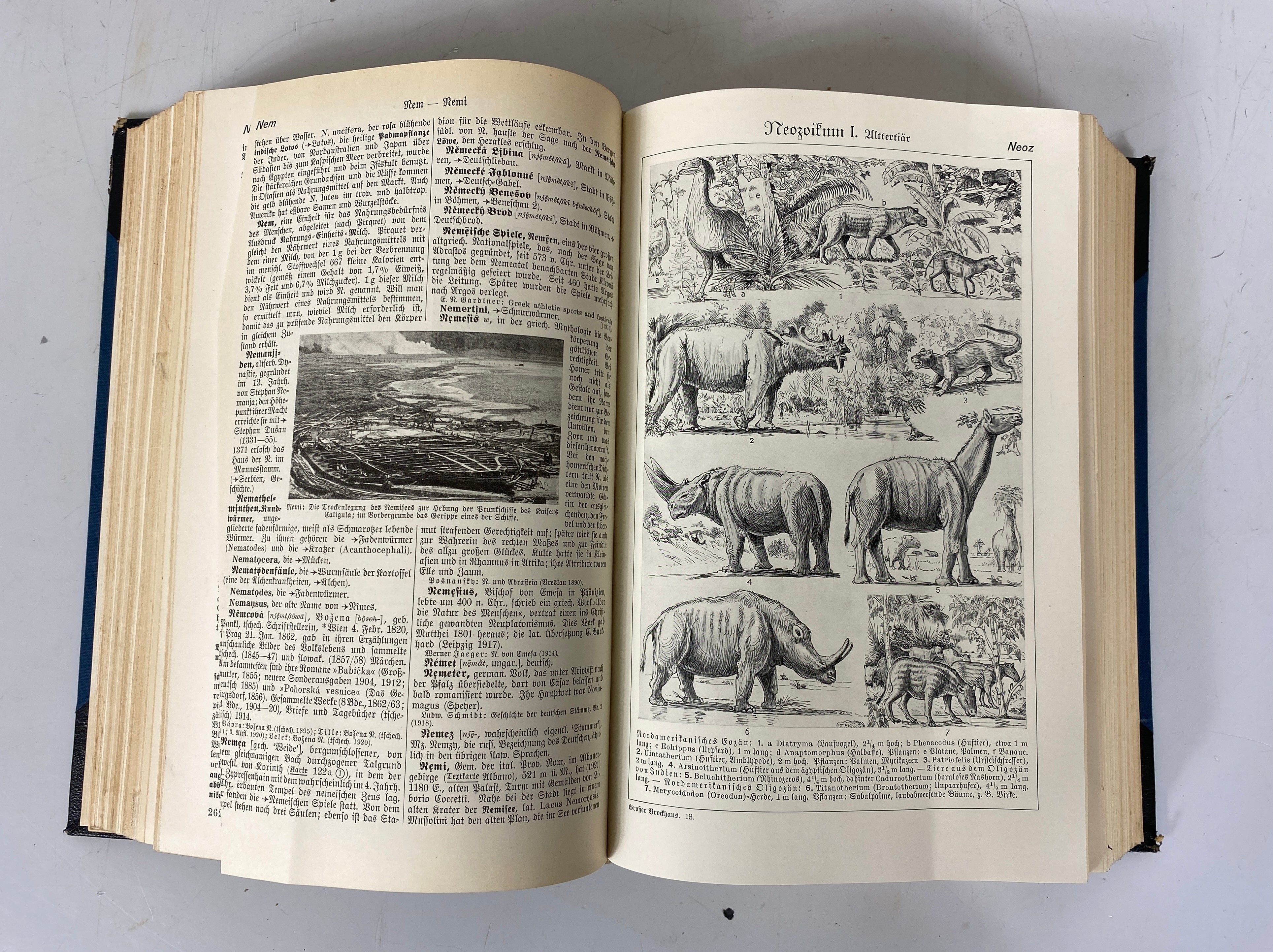22 Volume Complete Set Der Grosse Brockhaus German Encyclopedia 1928 Edition